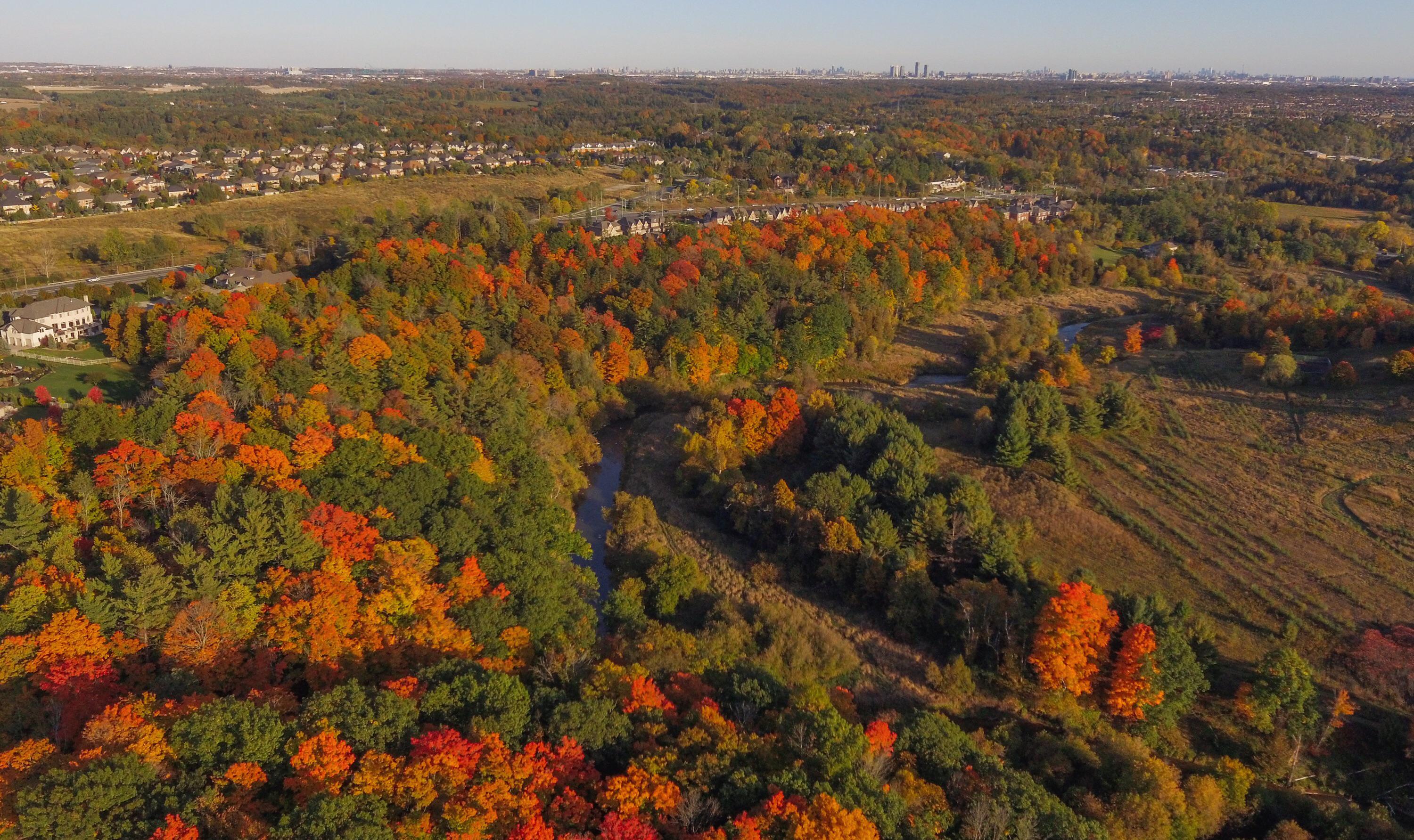 Fall colours, Kleinburg, Ontario r/ontario