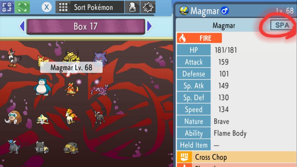 What does SPA stand for? r/BDSP