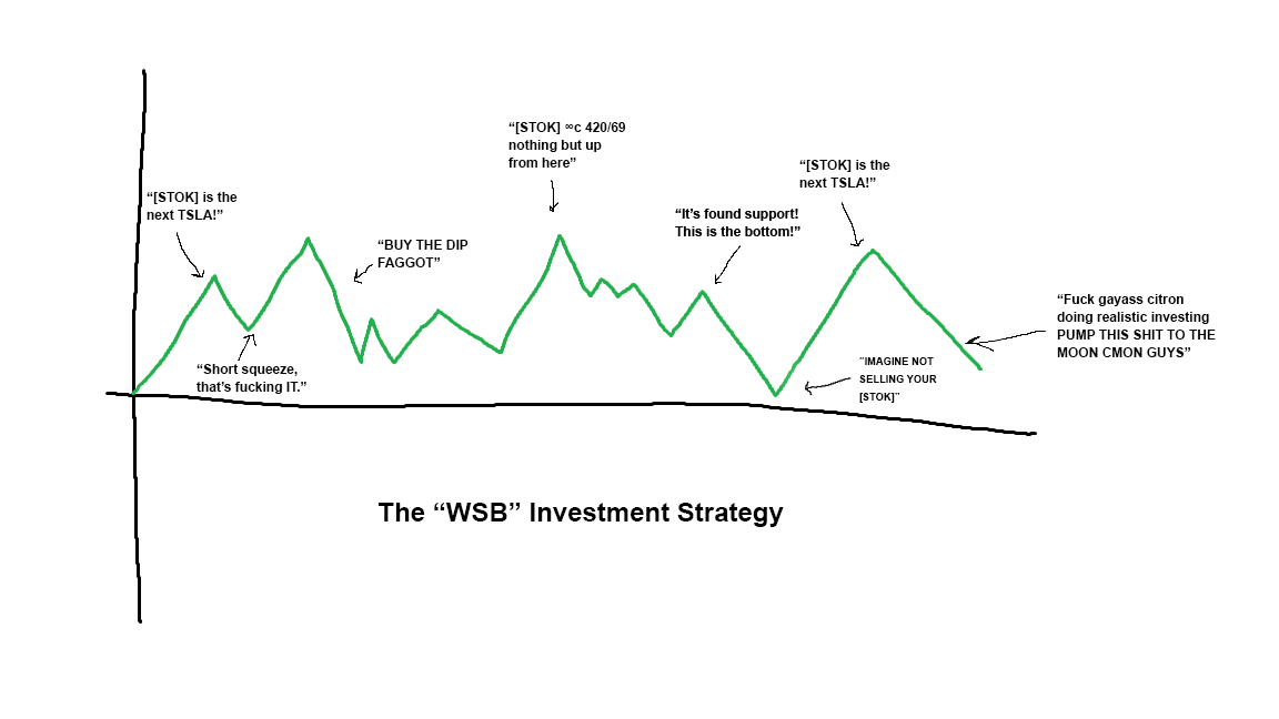 Popular WSB Opinions During Any Stocks Lifetime r/wallstreetbets