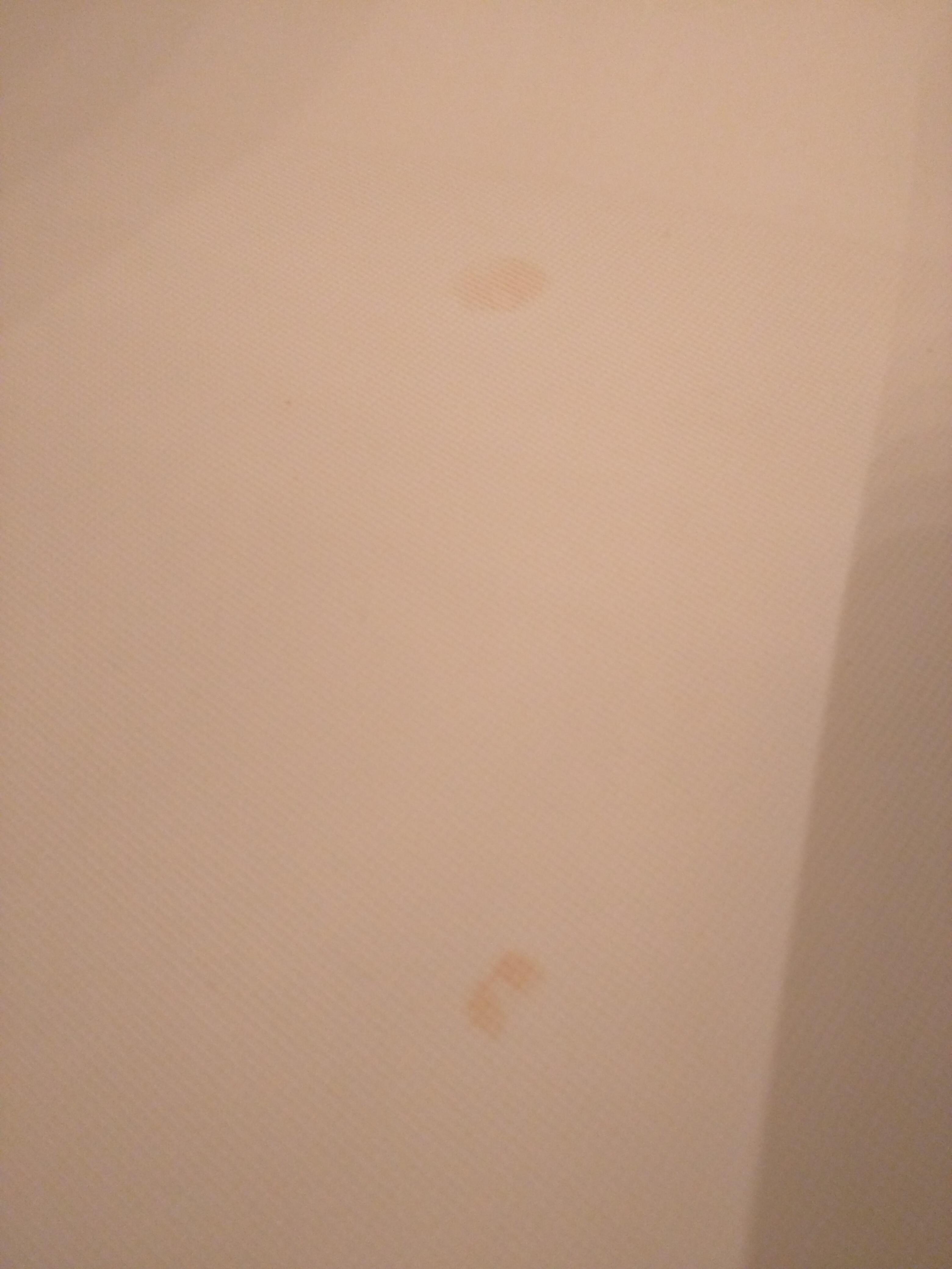 How to Clean Orange Spots on Tub? r/homemaking