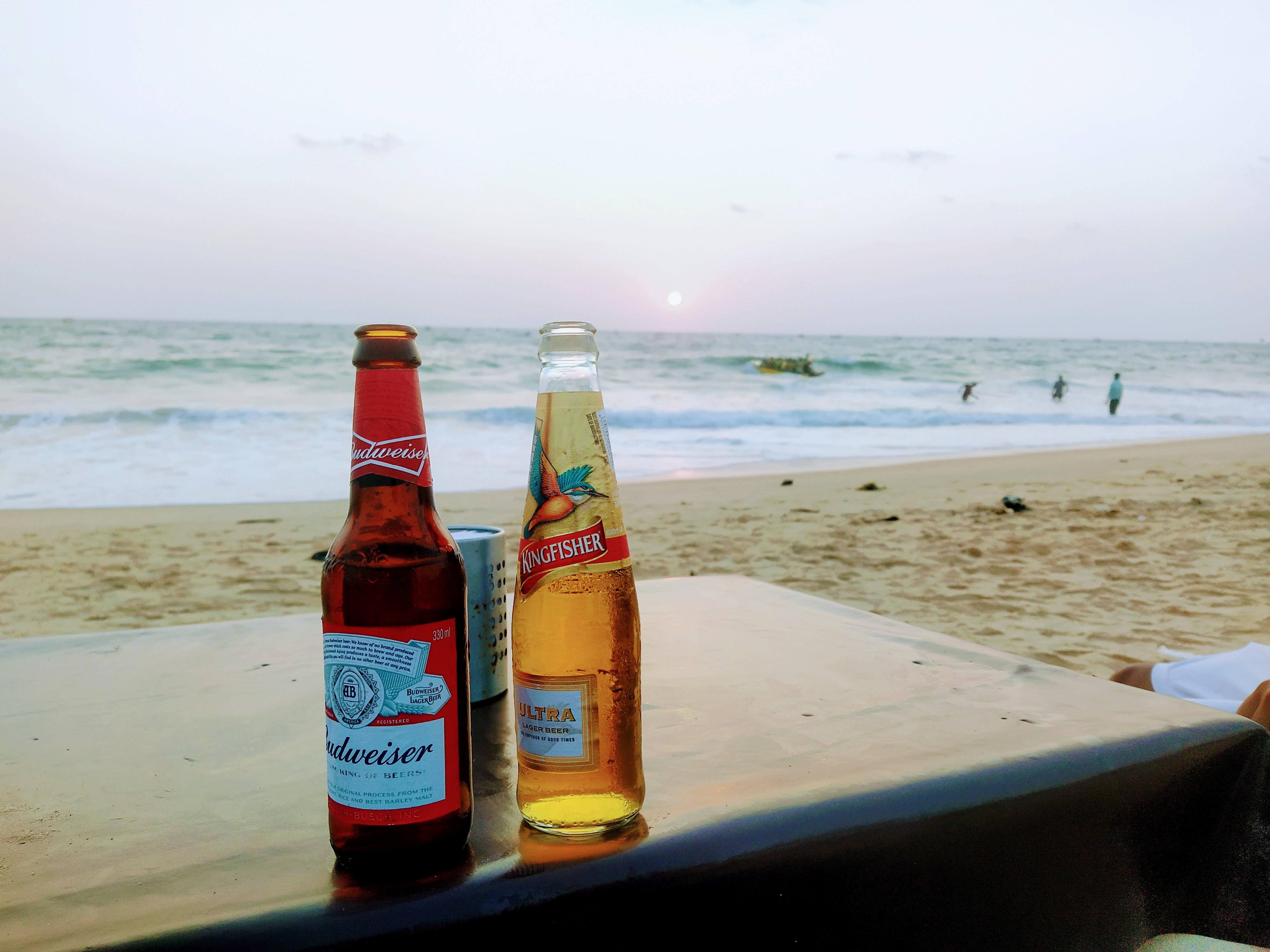 Beers & Beaches r/pics