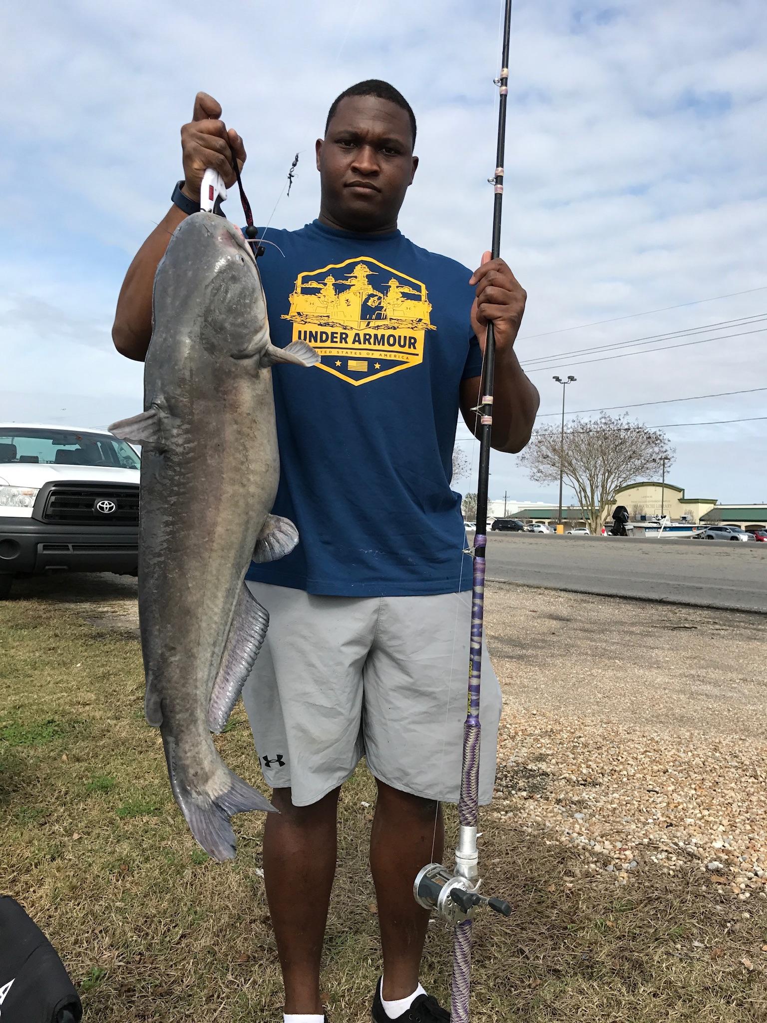 Nice haul from a canal in Larose Louisiana. r/Fishing