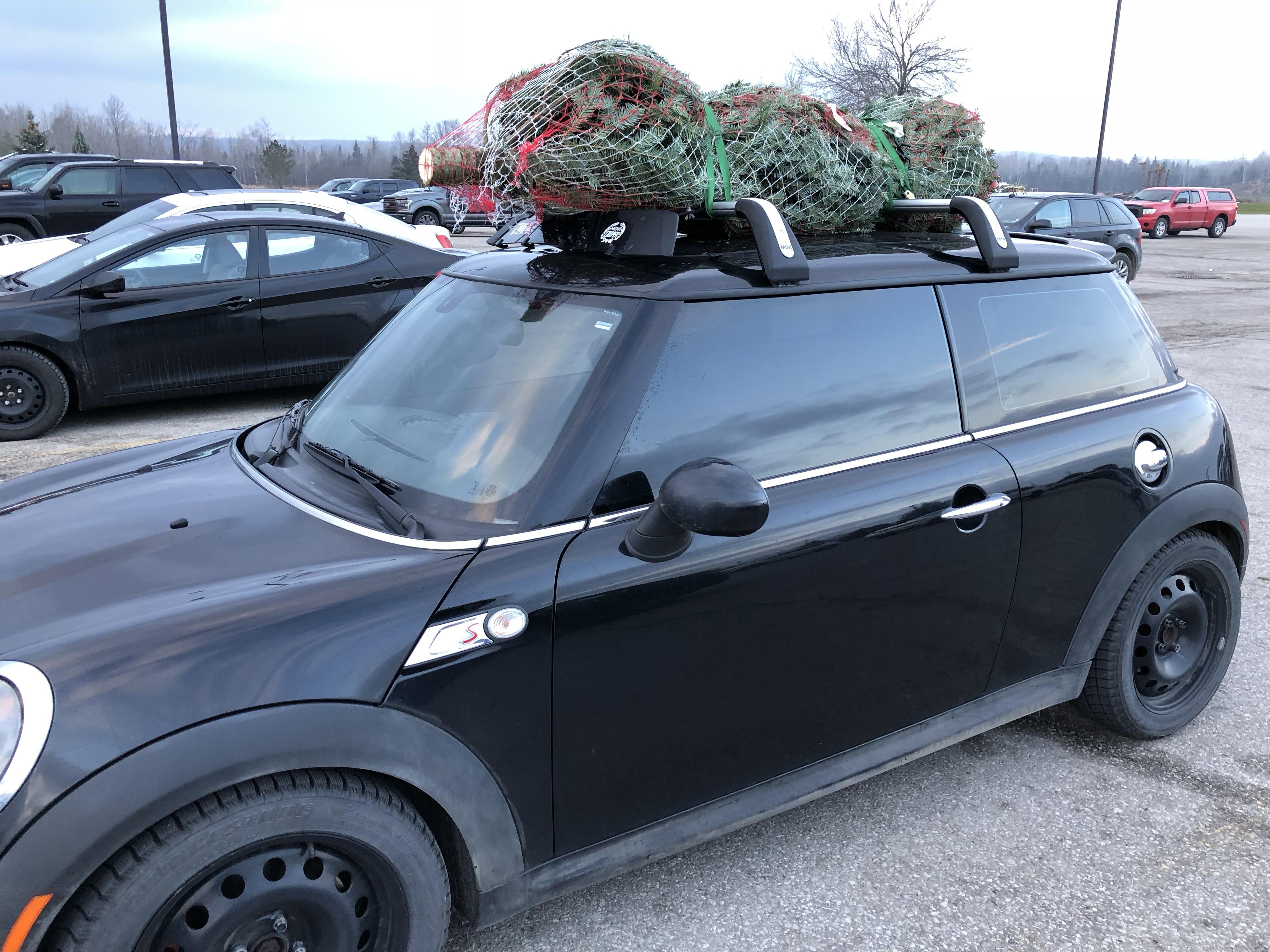 Who says Minis aren’t practical? : r/MINI