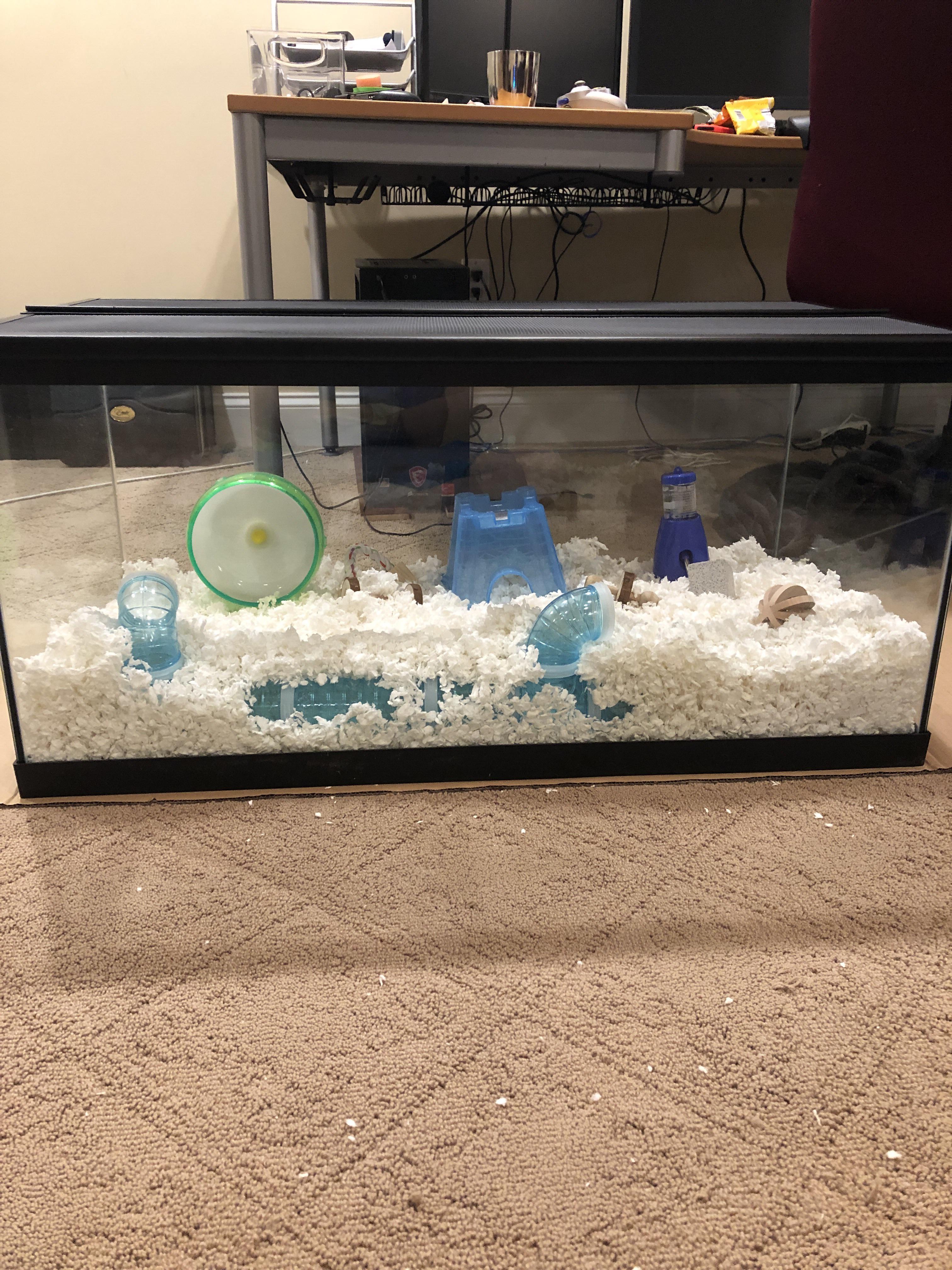 Ive upgraded my hamsters cage from a 20 gallon to a 40 gallon to make