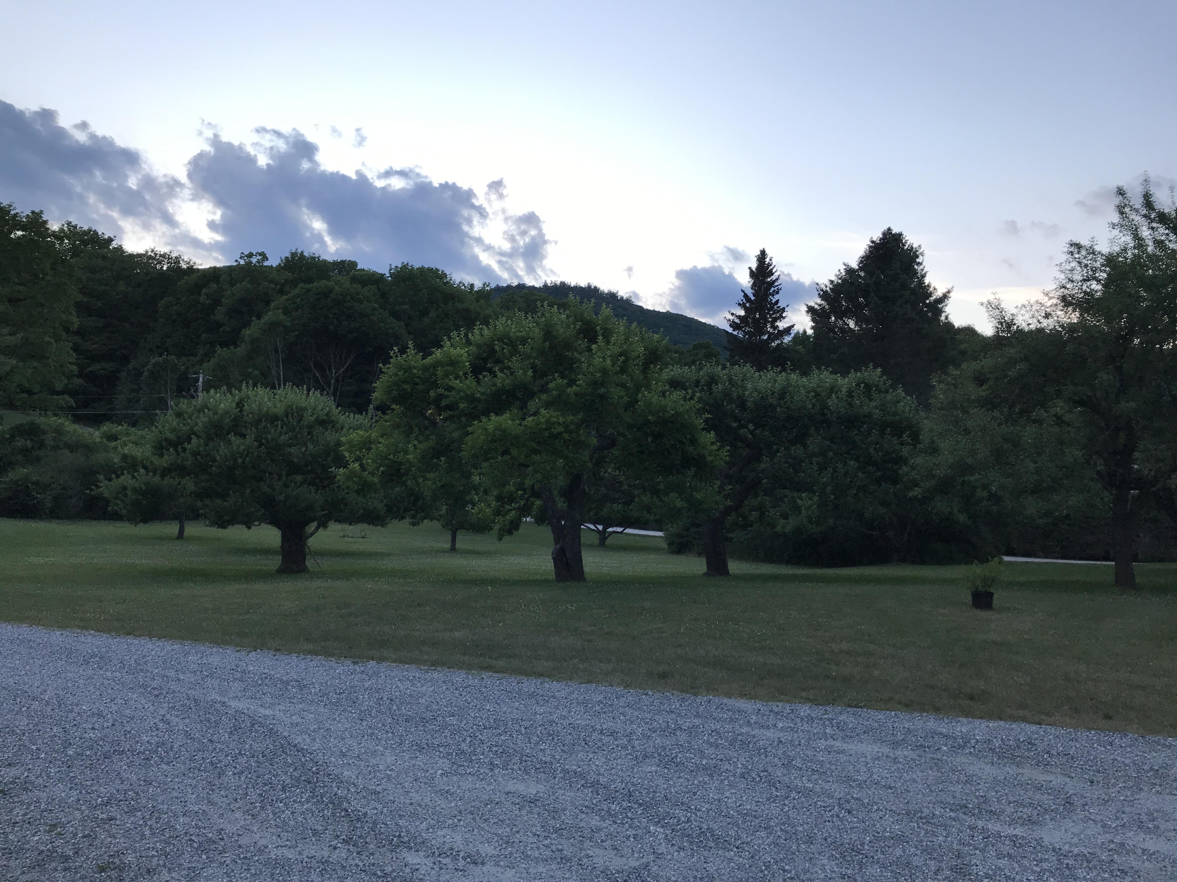 Apple and pear orchard r/gardening