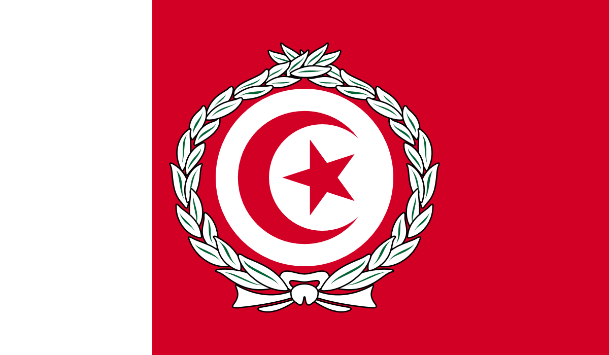 Redesigned Ottoman Empire flag r/Kaiserreich