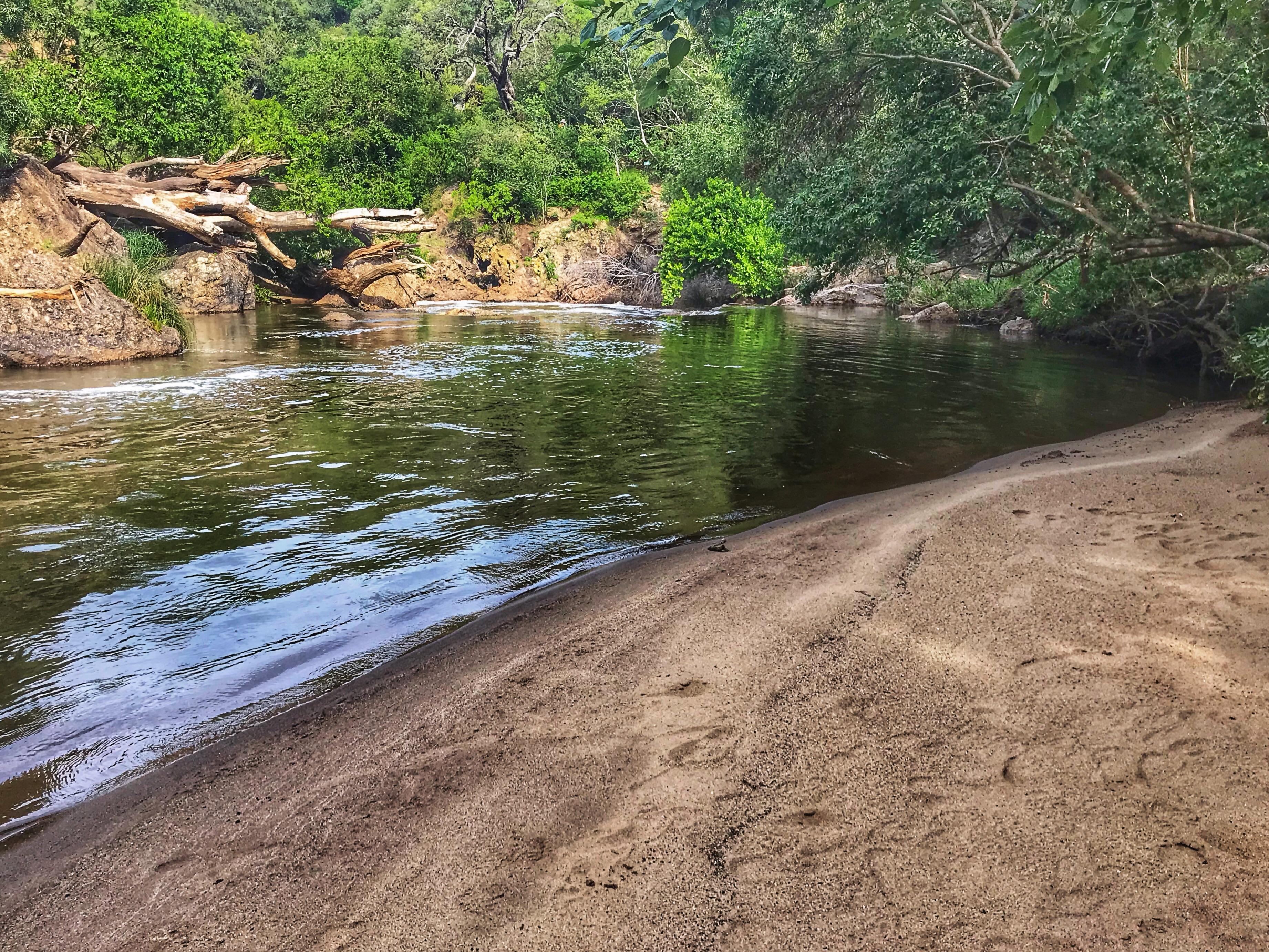 River bank on the Hennops hike in Pretoria, South Africa r/hiking