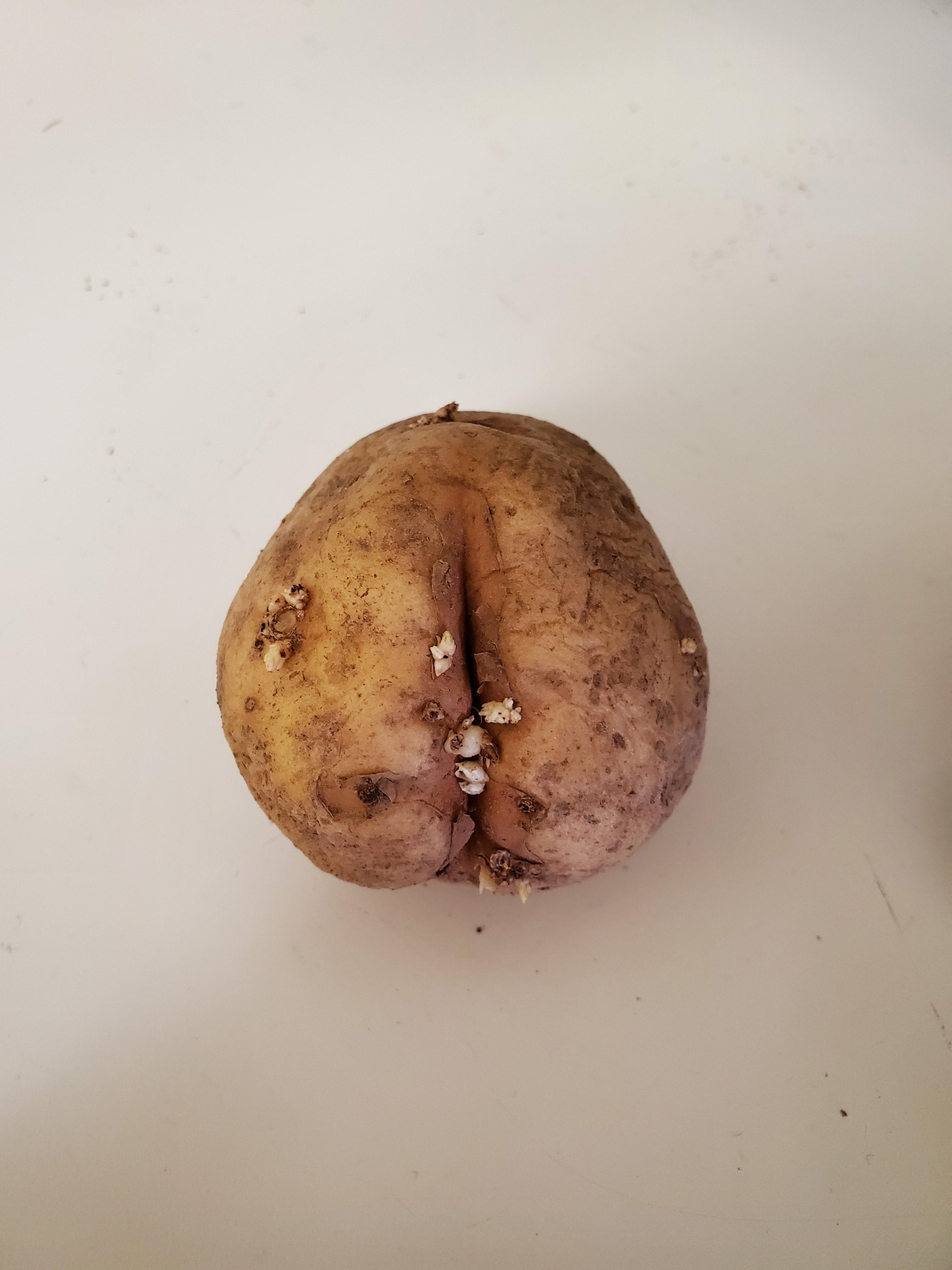 This old potato looks like it's been around the block a few times and