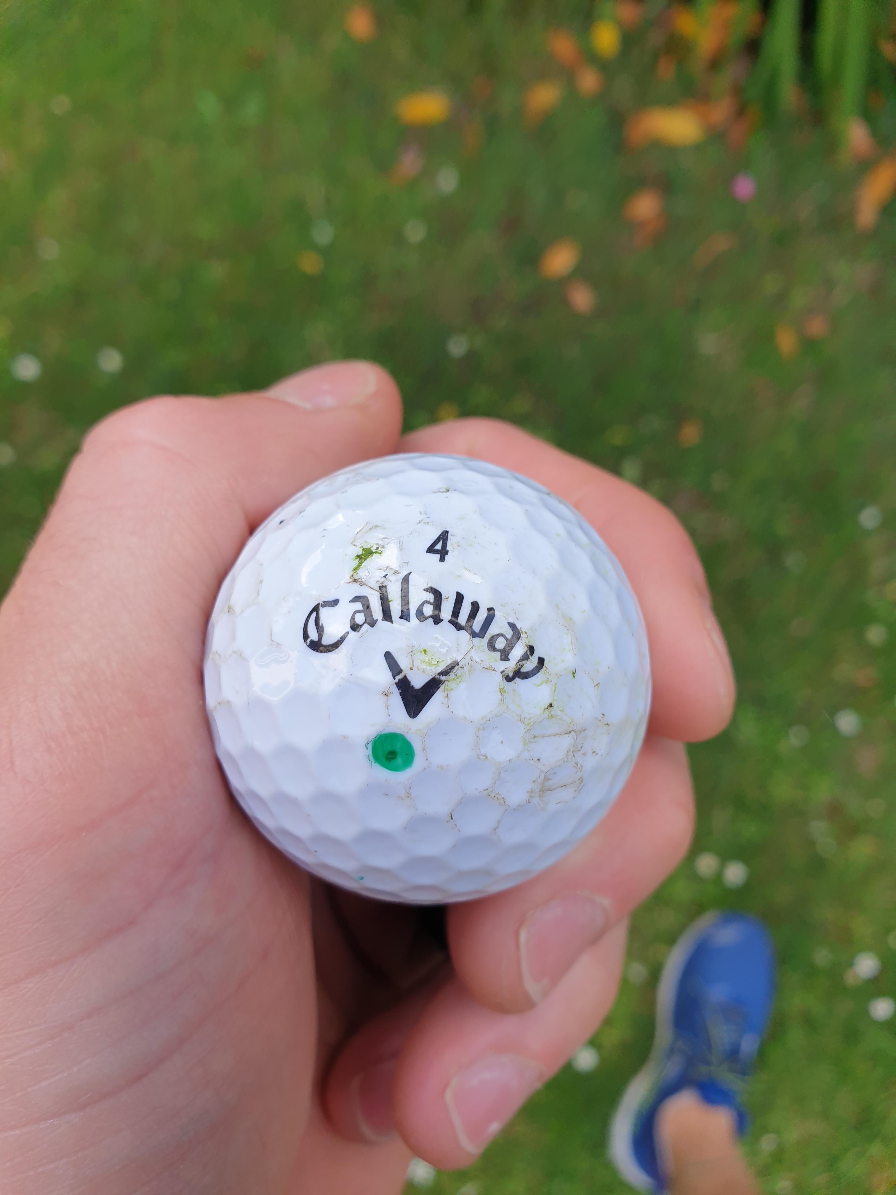 The look your ball gives you when you hit your first eagle from 83 m... 2 on a 306 m par 4. r/golf