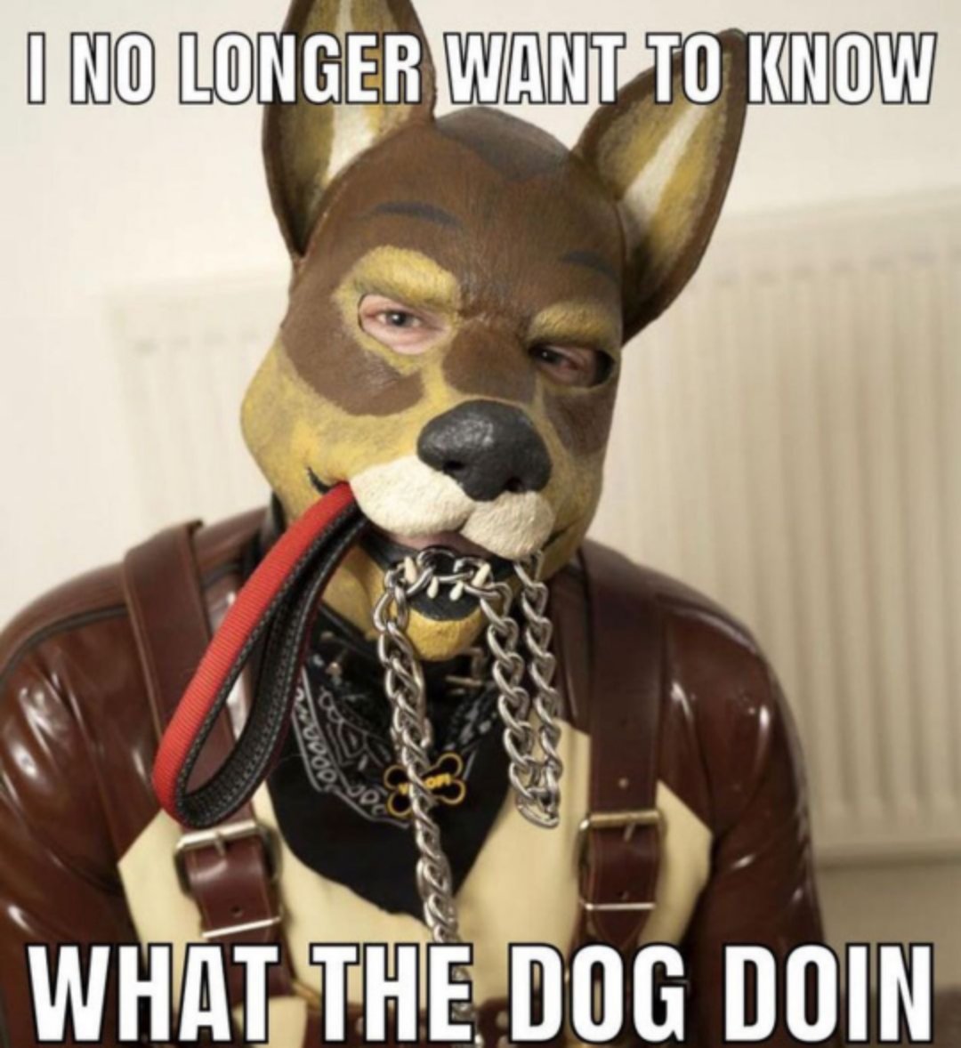 What the dog doin? r/spoonkid1