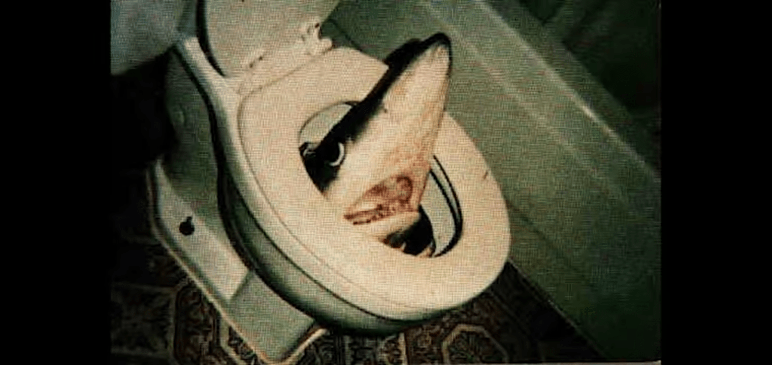 Cursed Shark Cursed_Images