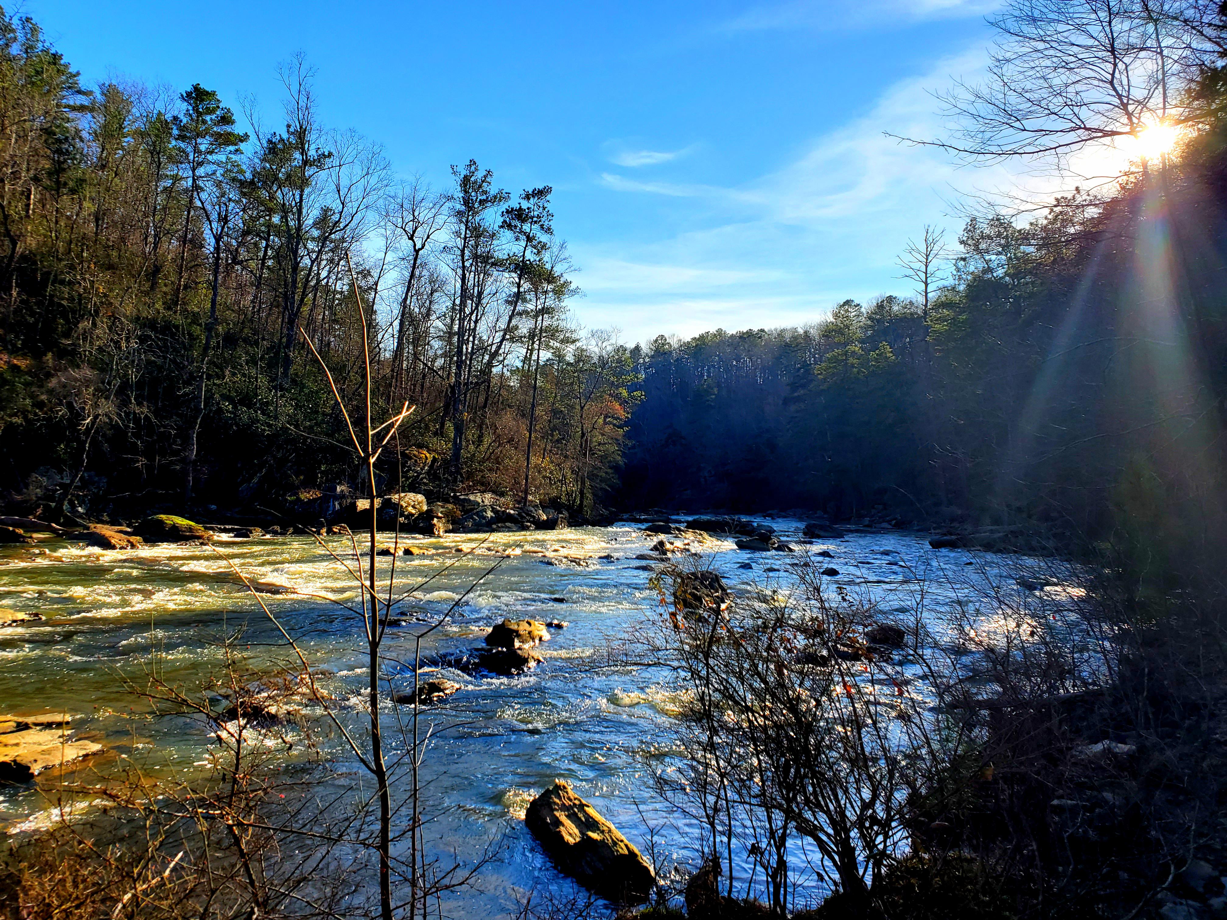 Sweetwater Creek State Park a few weeks ago when we had a few days of