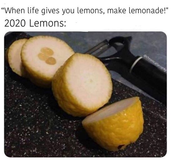 When Life Gives You Lemons... r/memes