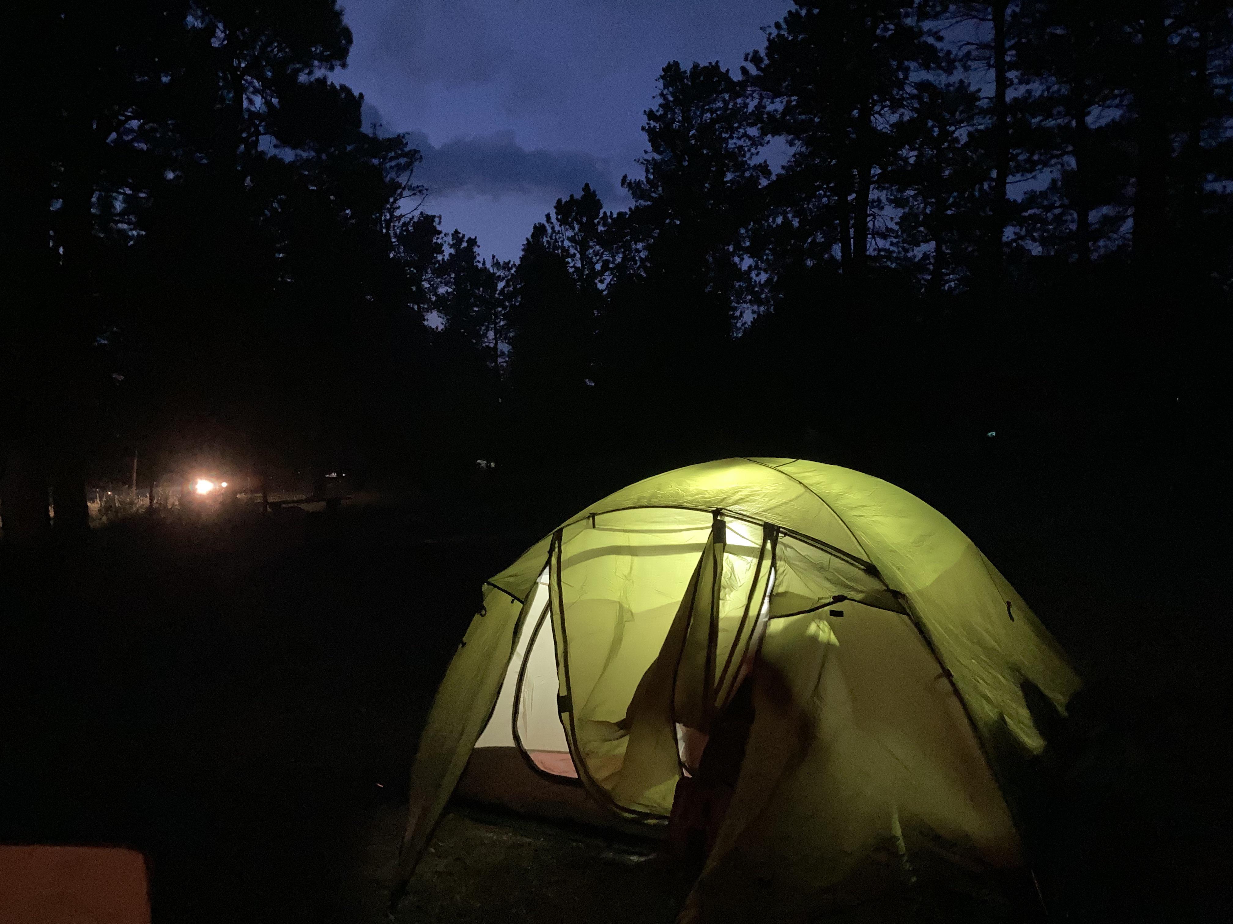 Pike National Forest, Colorado last week r/camping