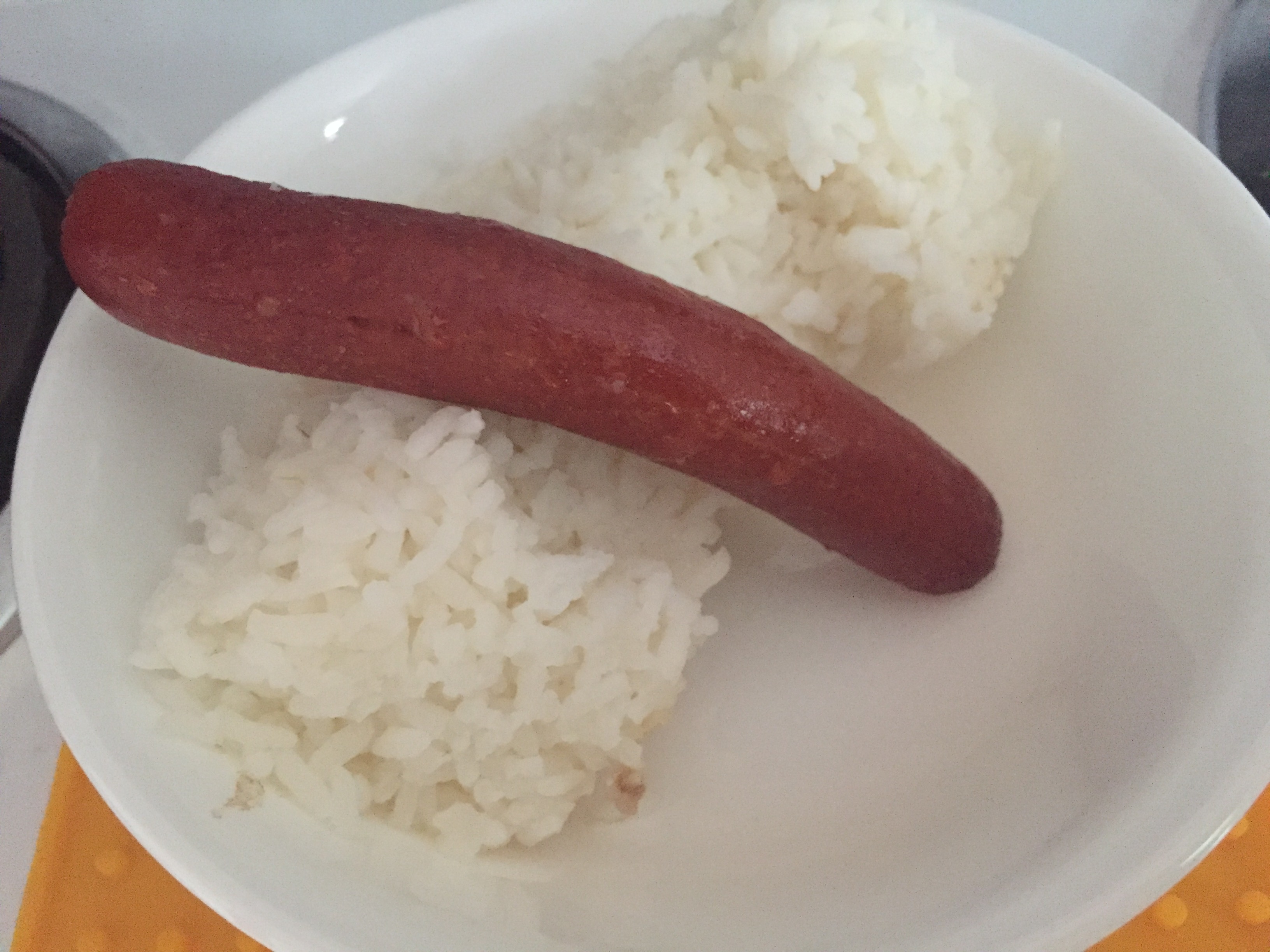 hot dog over rice r/shittyfoodporn