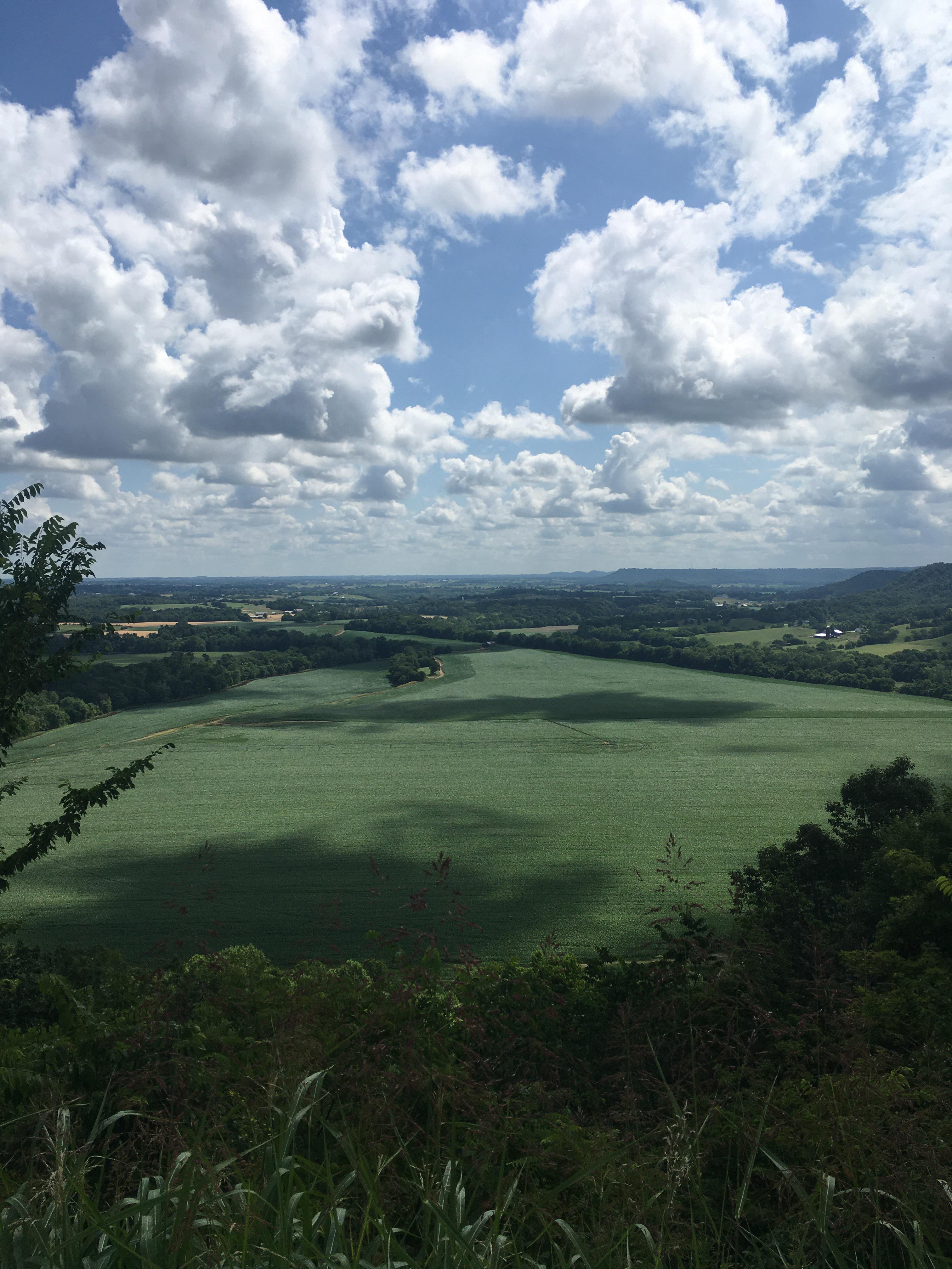 Marion County r/Kentucky