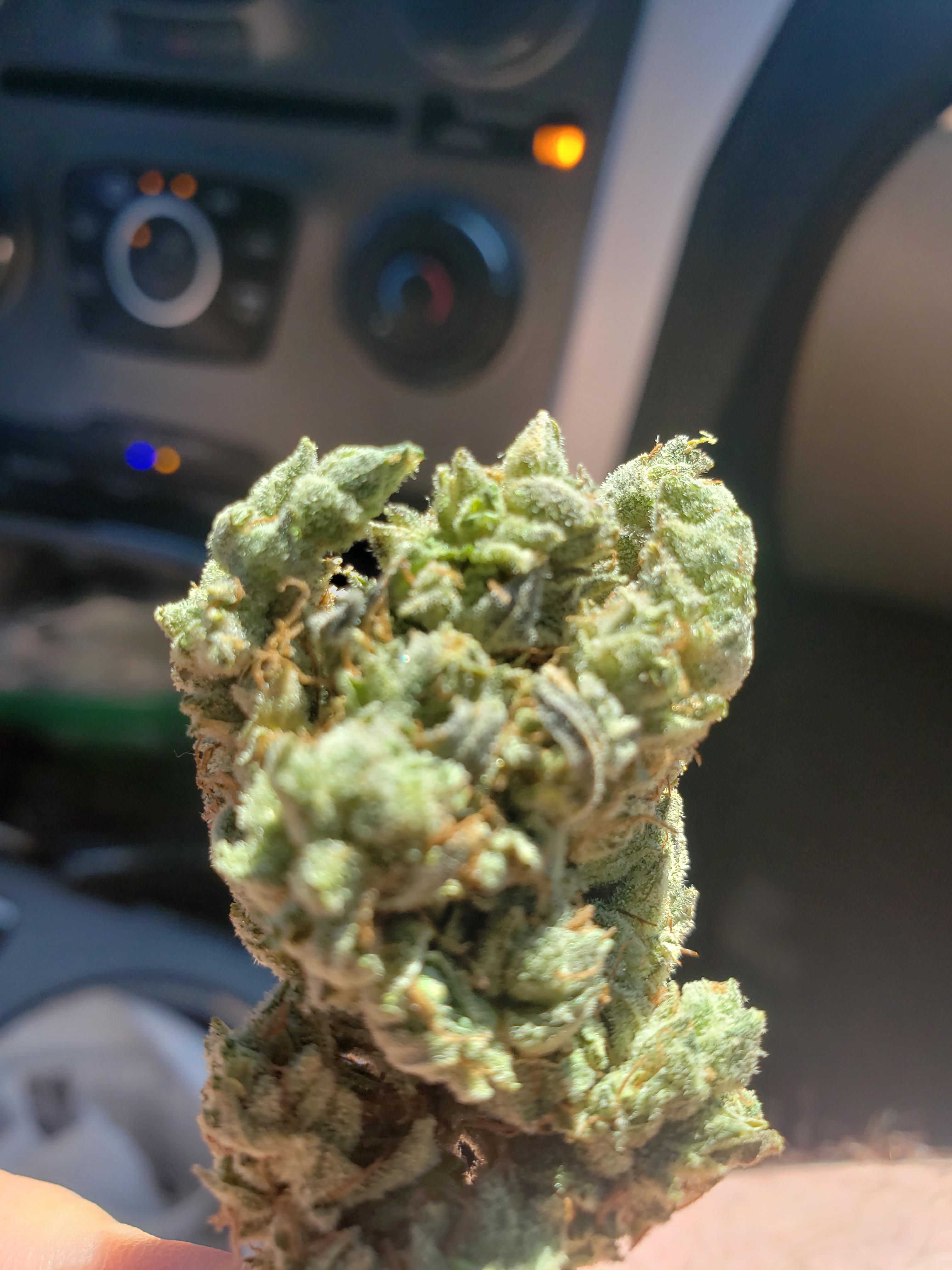 where my San Antonio smokers at? r/weed