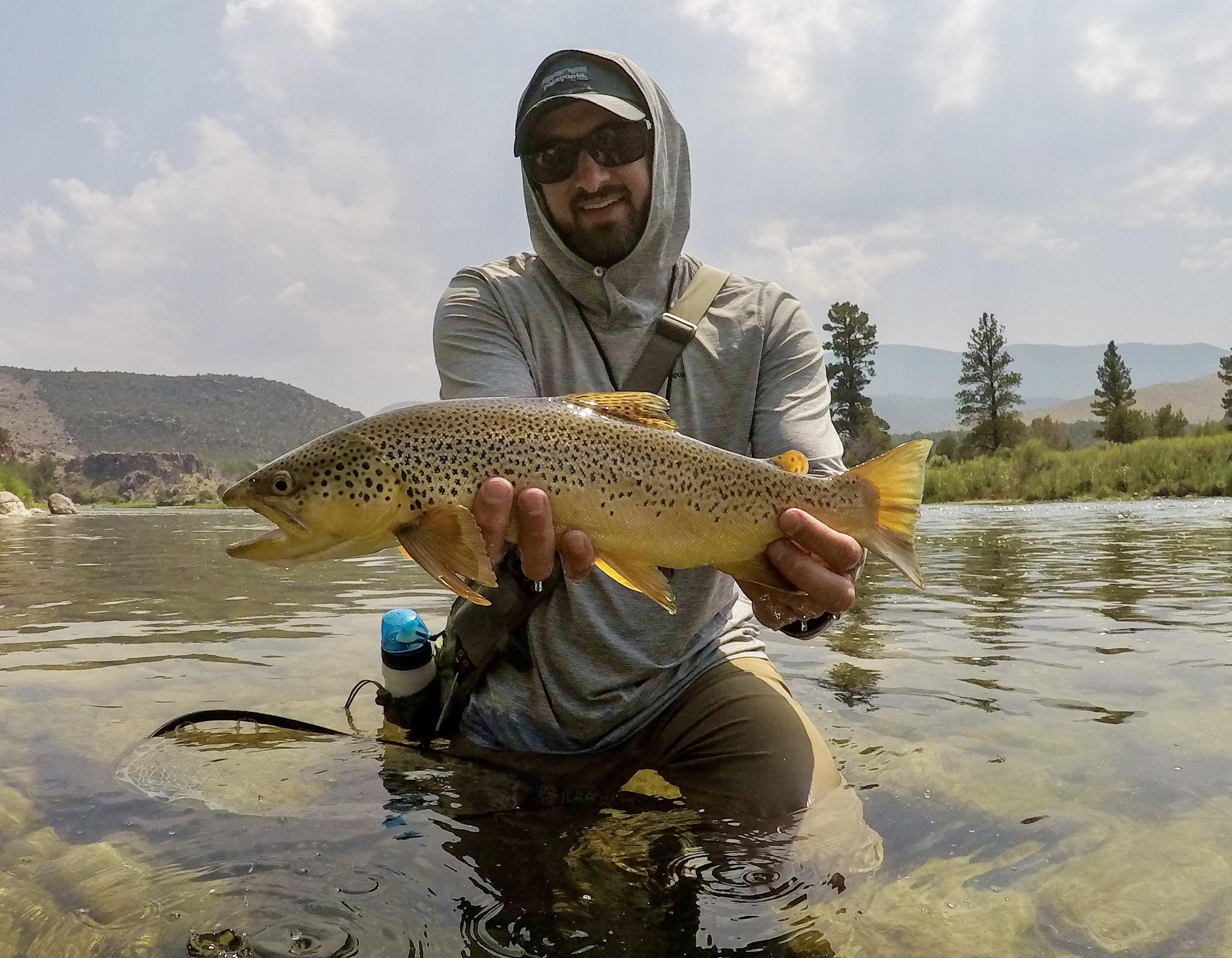 Green River, UT r/flyfishing