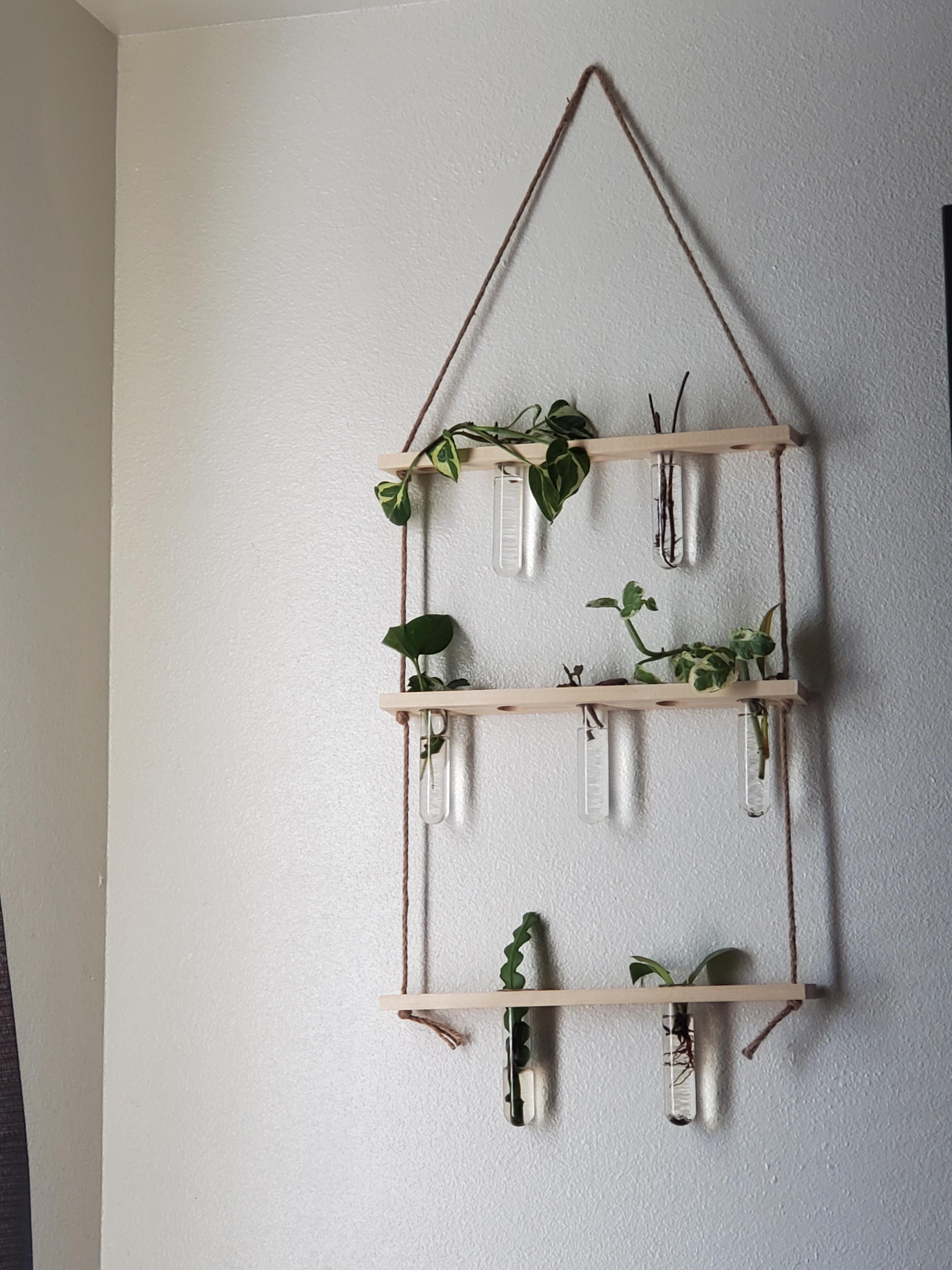 Can I fertilize my propagation station? r/houseplants