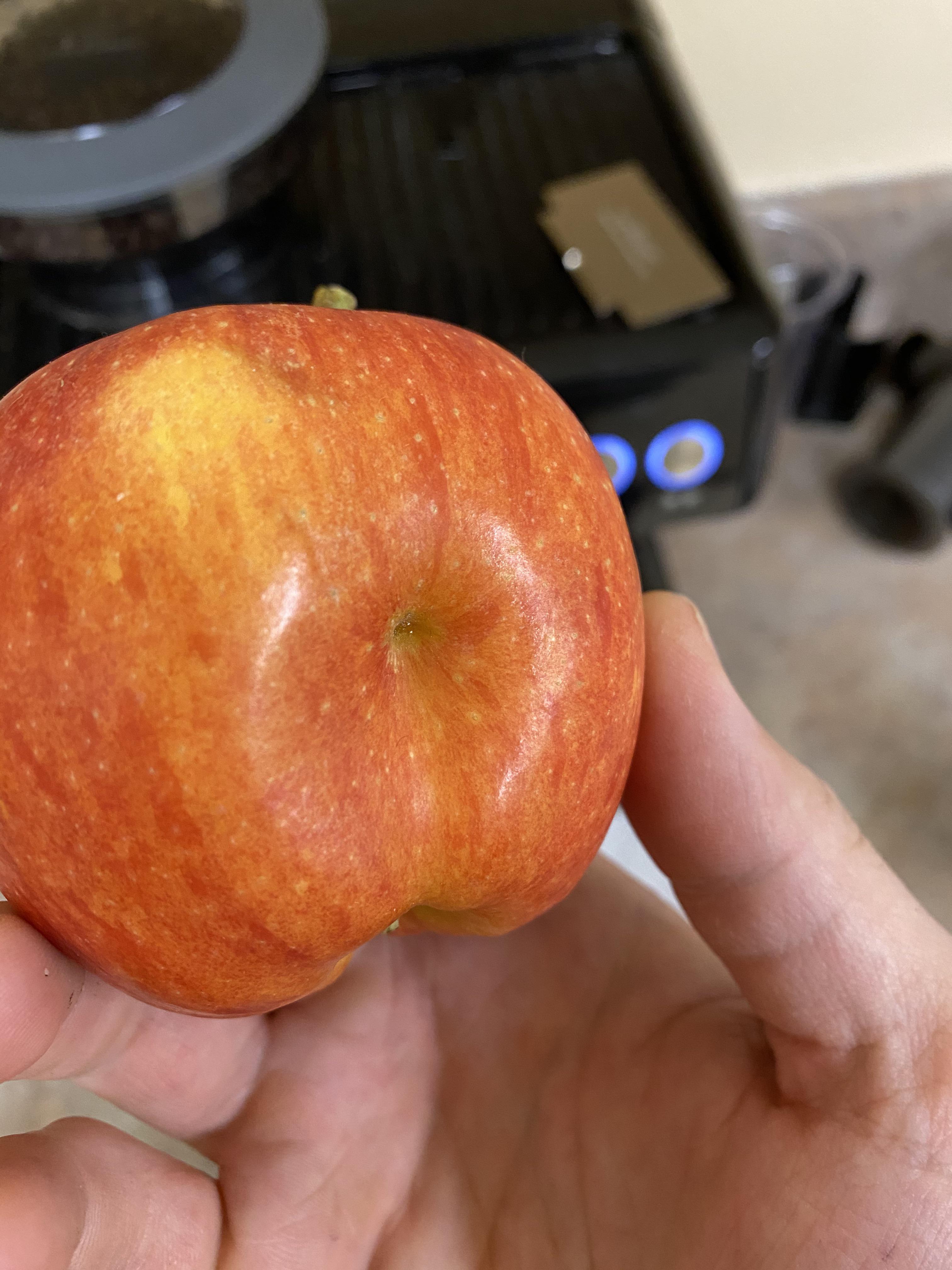 This apple looks like a belly button. r/mildlyinteresting