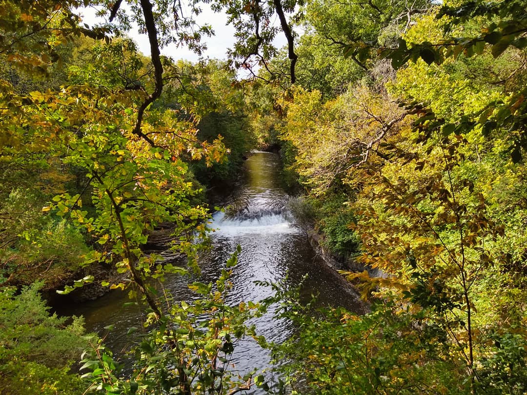 Kankakee River State Park. r/illinois