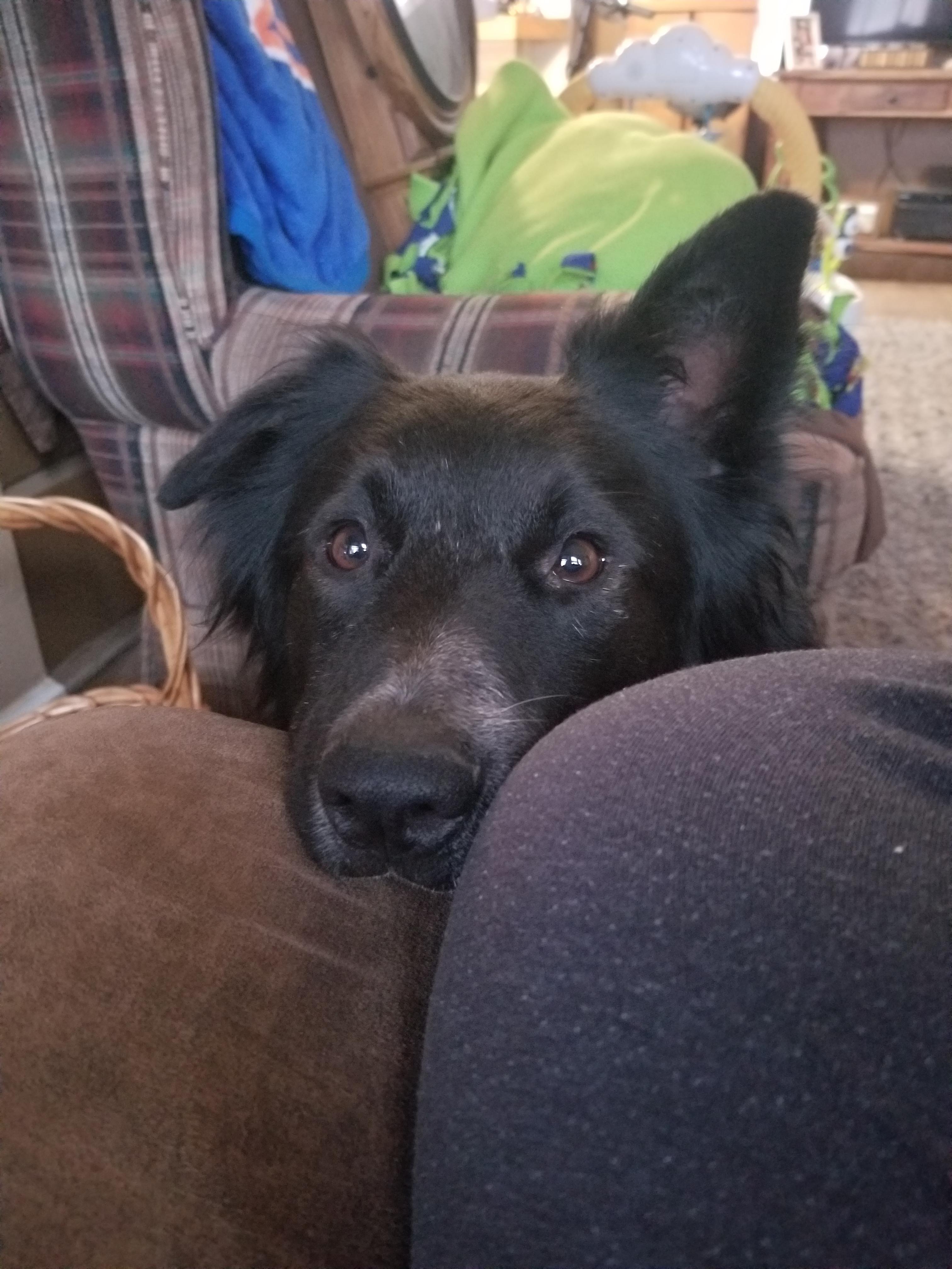 You eating a blueberry bagel? I also like blueberry bagels 💙 r