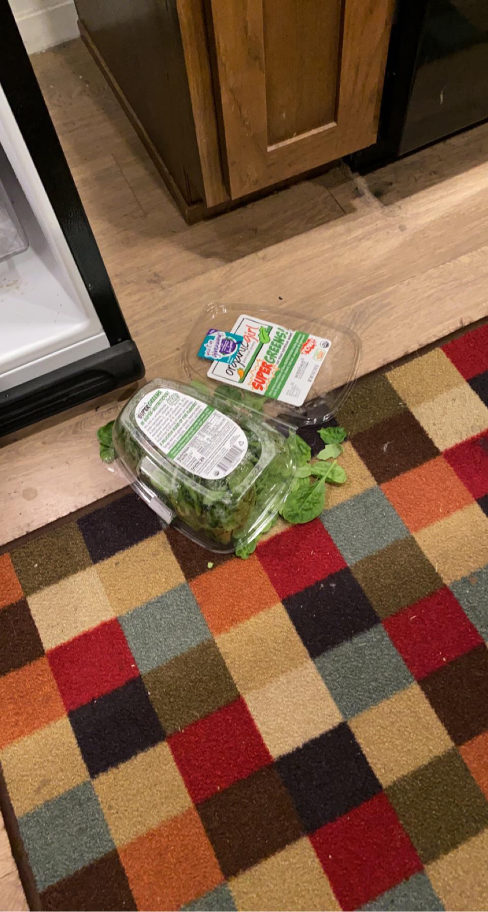 how my spinach fell out of the fridge r/mildlyinfuriating
