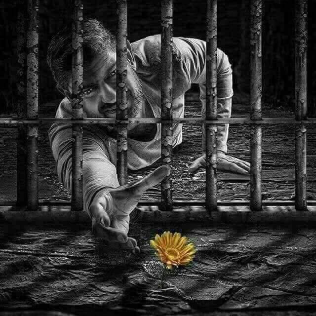 Certainty Is That You Pray To God For Something And All The Reasons Around You Suggest Not Achieving It But Within You Is Full Faith And Certainty That God Will Respond Yellow