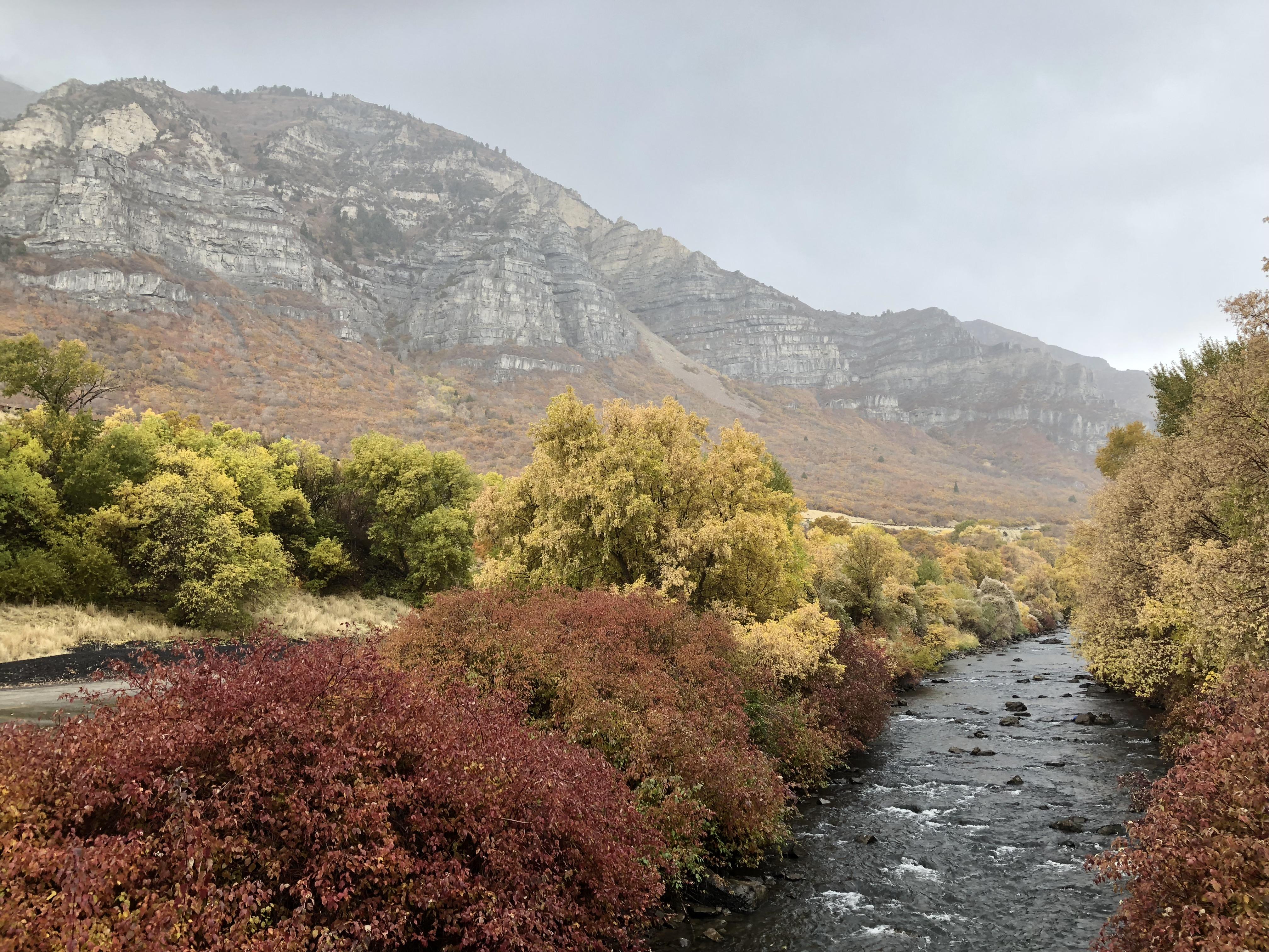 View of Provo Canyon with the Provo River during late fall (Late October) [OC] 4032x3024 r