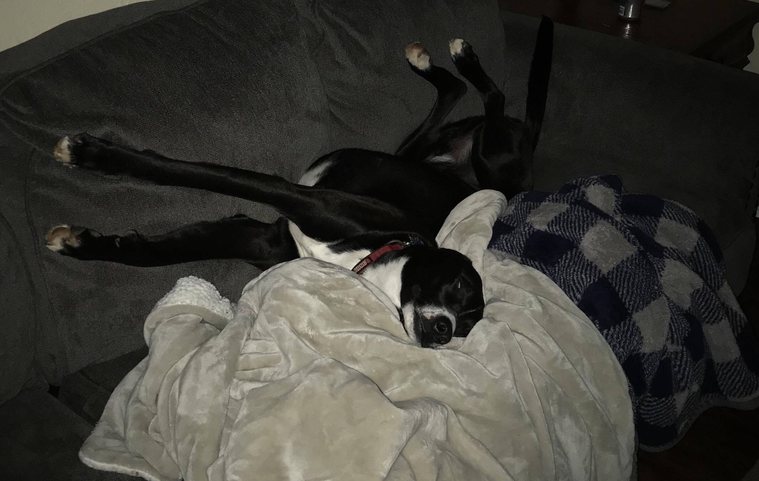 Went to get a drink of water in the middle of the night and found him