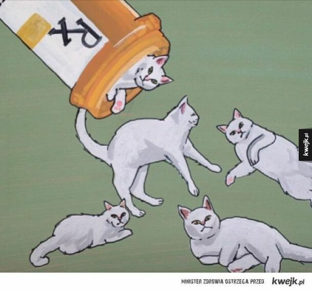 Cats are allnatural antidepressants/antianxiety meds for me! r