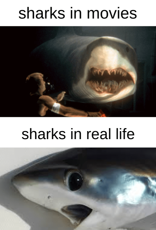 Shark Tears Meme