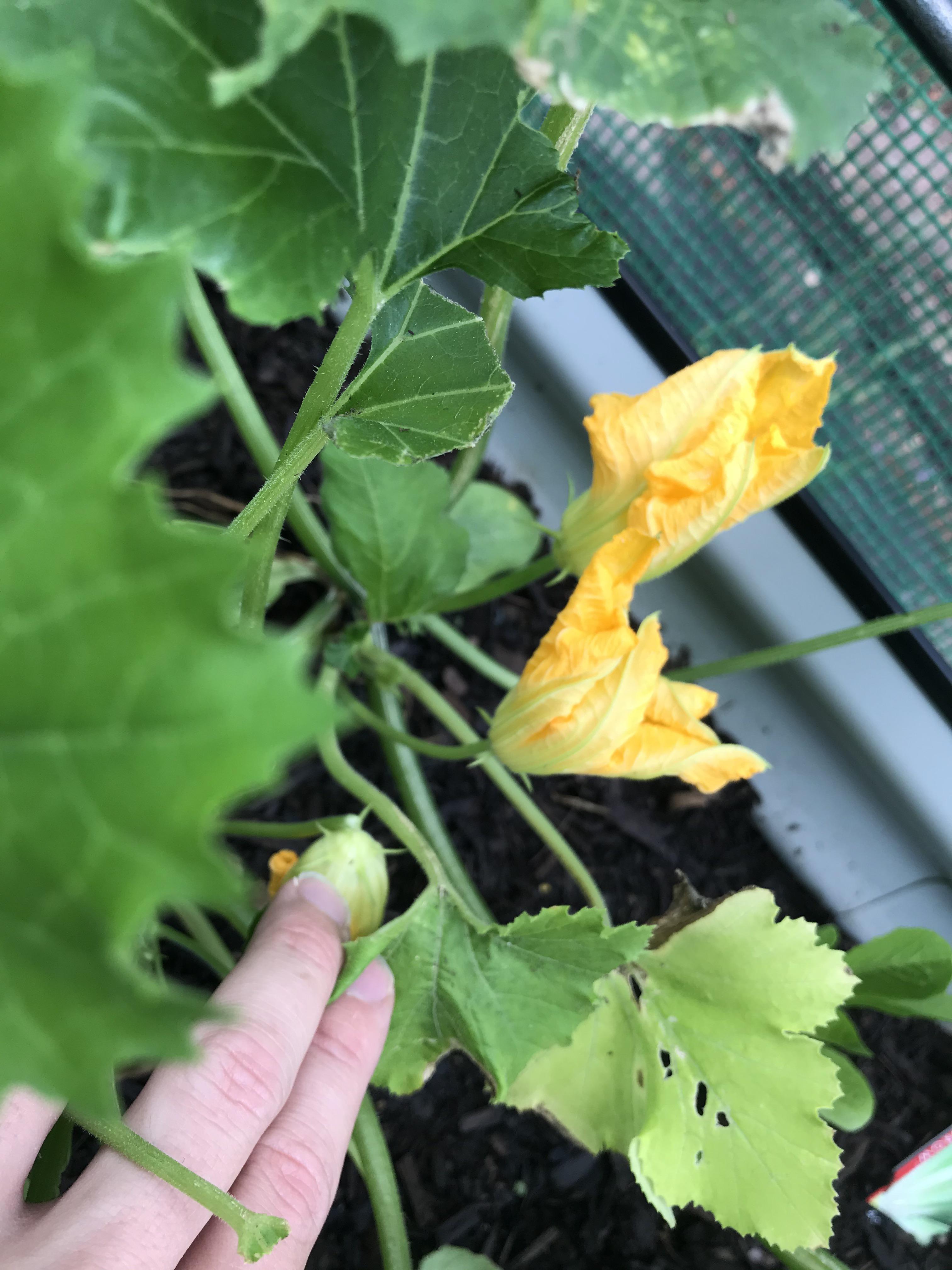 Hey fam, just recently joined this sub.. was wondering if anyone could