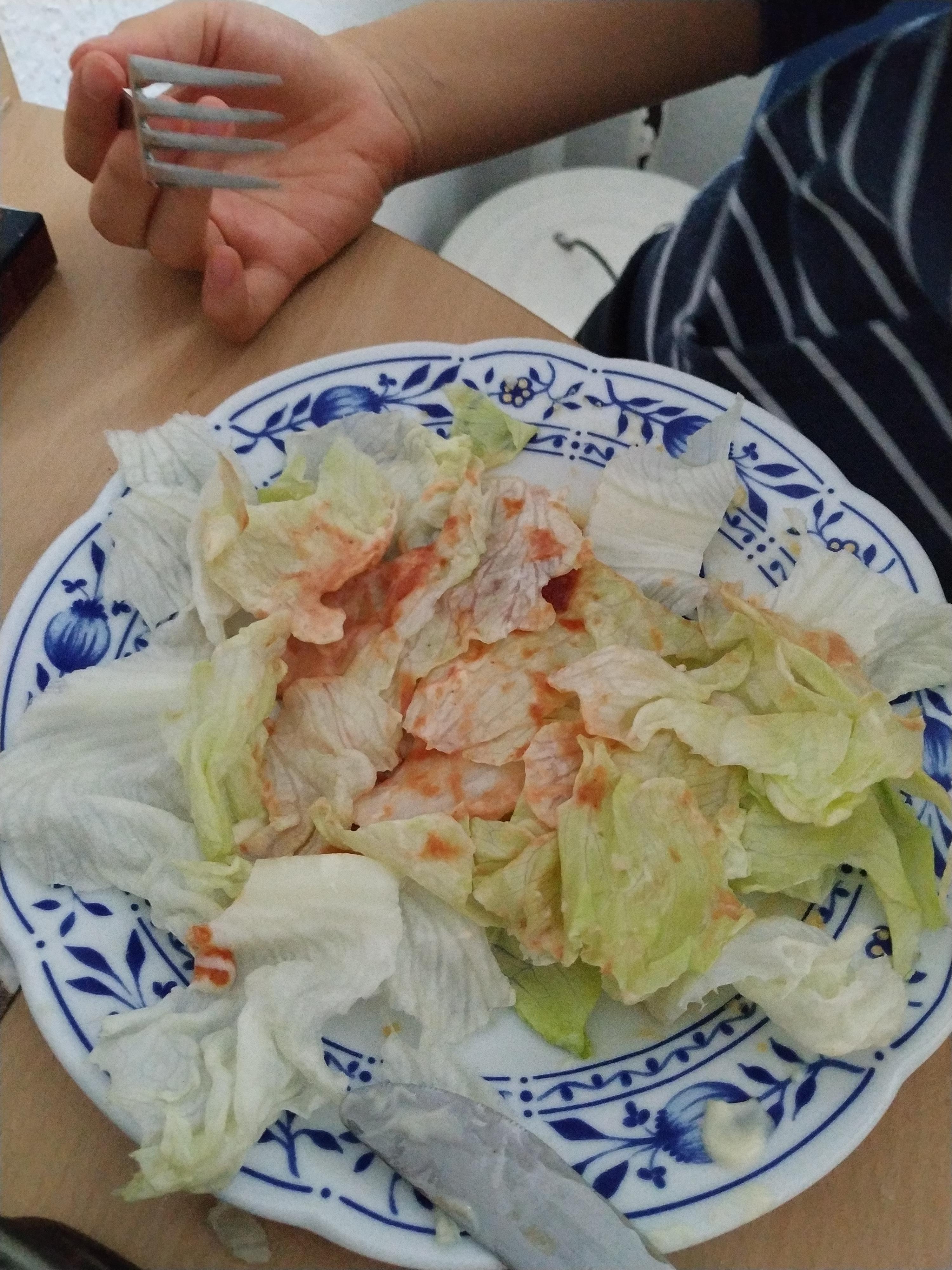 my girlfriends salad. lettuce, ketchup and mayo. Bone apple teeth r