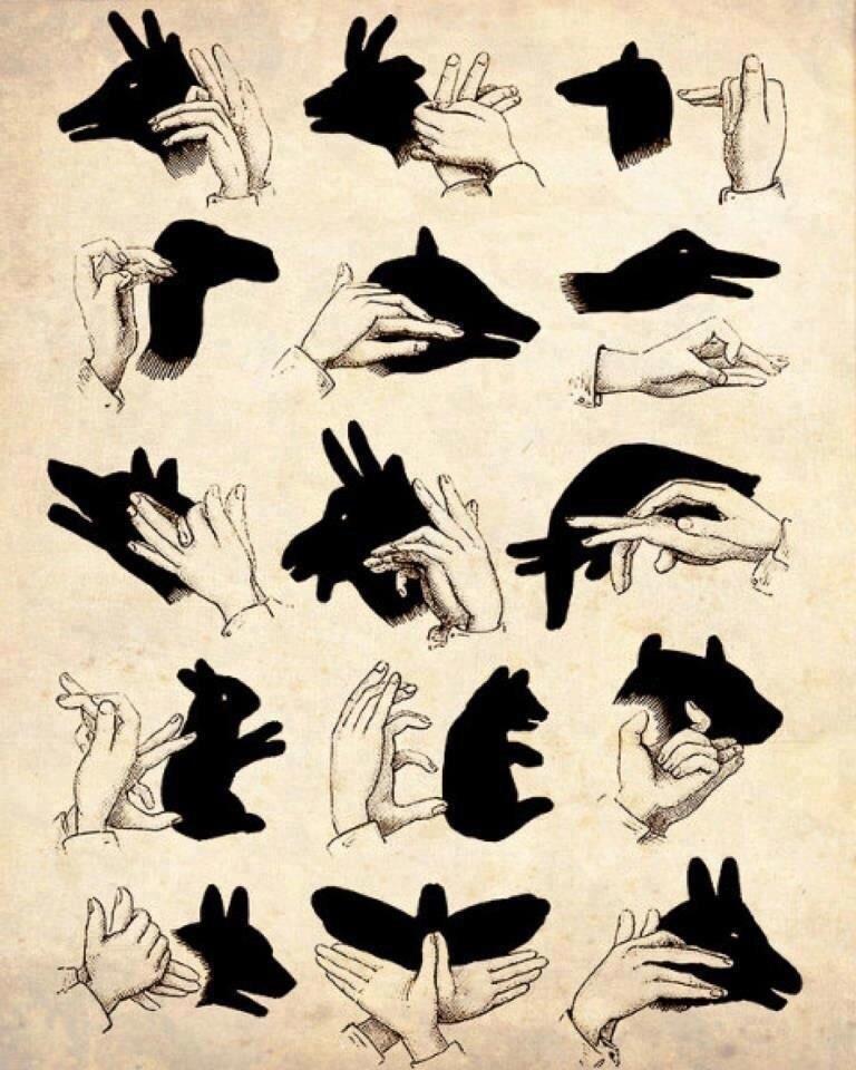 Shadow puppets r/coolguides