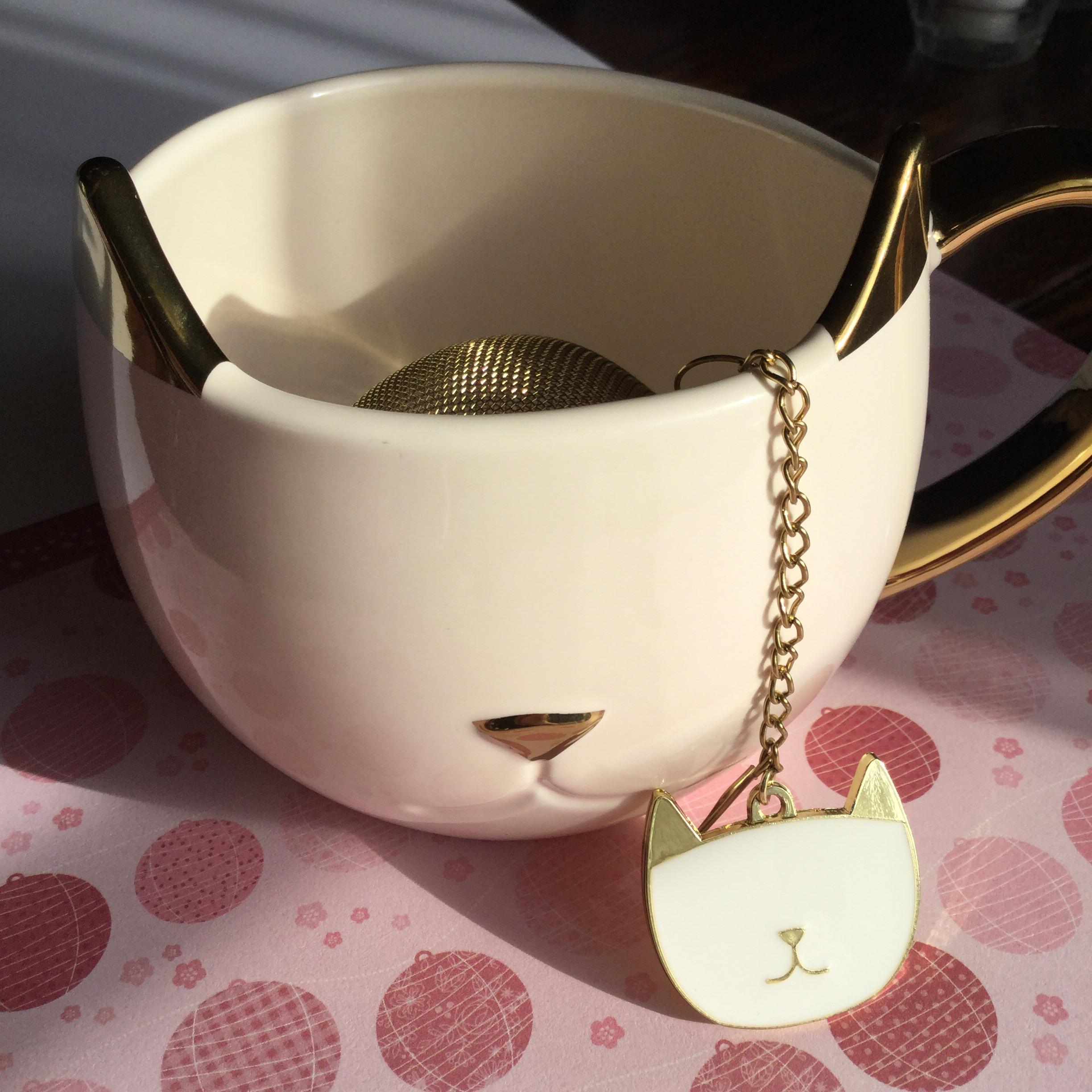 Got a new tea mug and Infuser today! r/tea