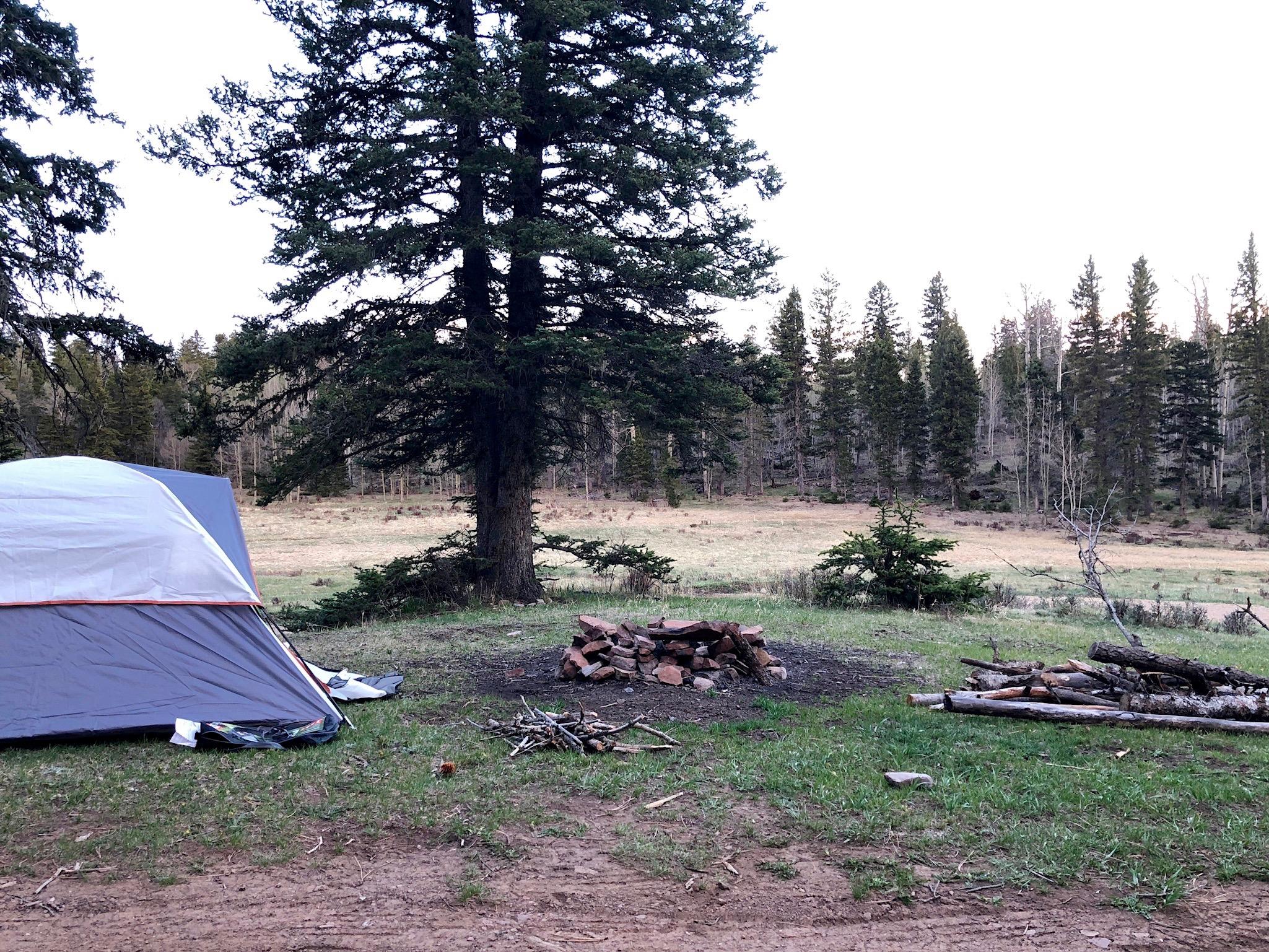Carson National Forest outside Taos, NM r/CampingandHiking
