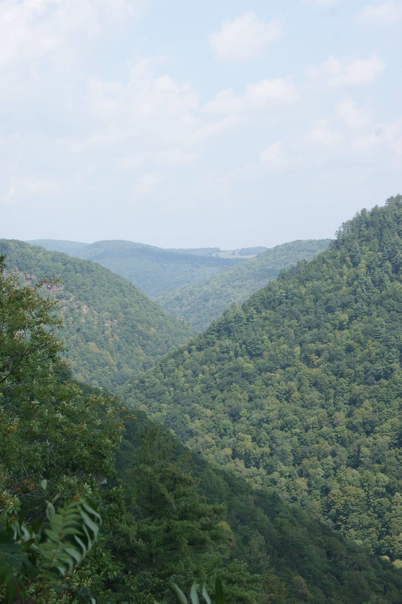 Hilly hills in the PA grand canyon. r/Pennsylvania