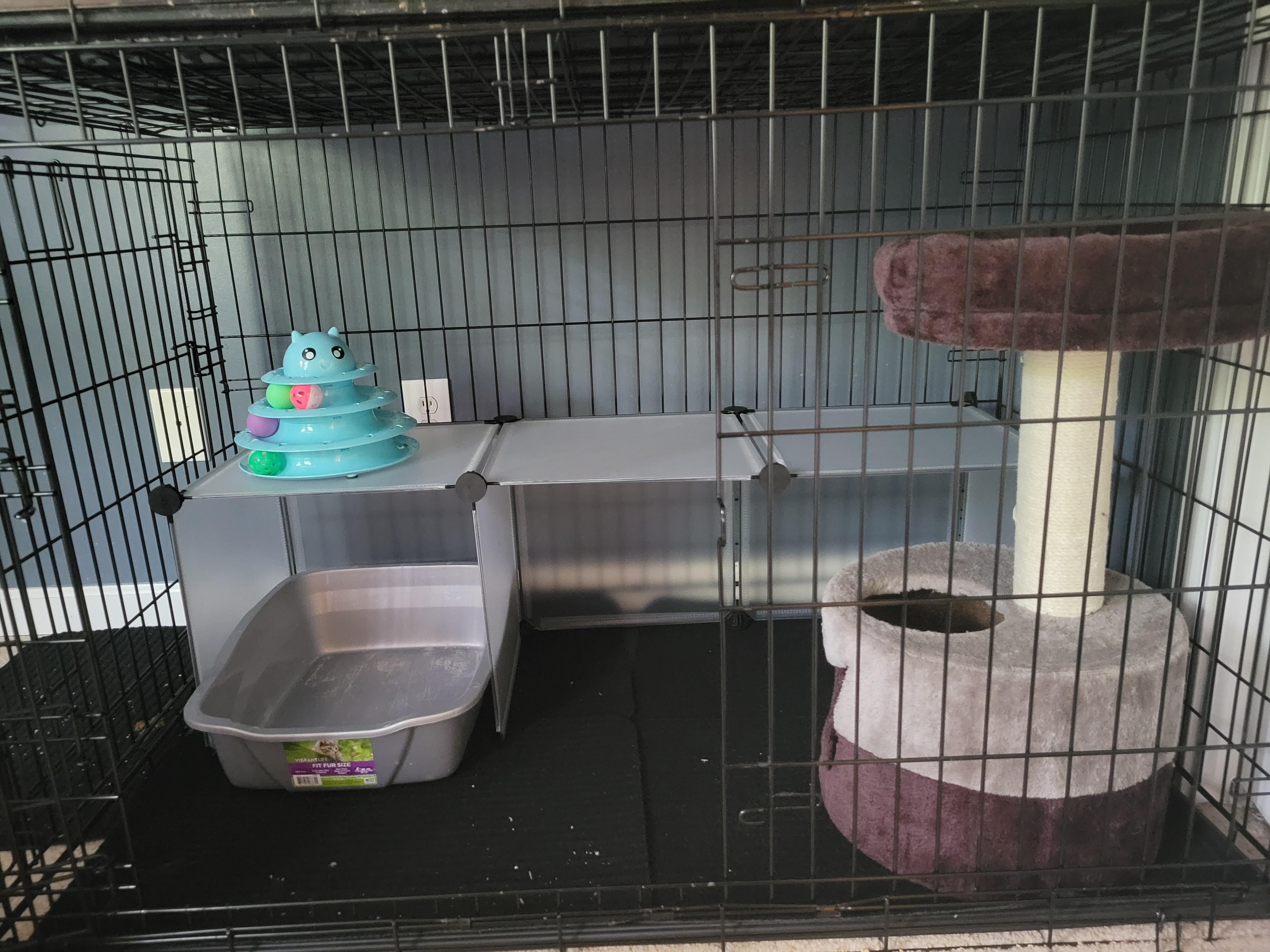 New crate set up! With every group of fosters, my crate and room