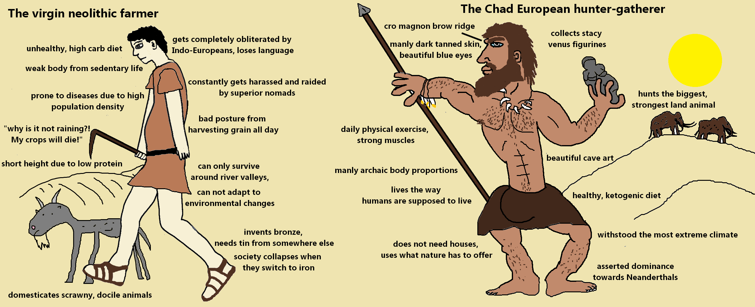 Sexual Dimorphism Preferences