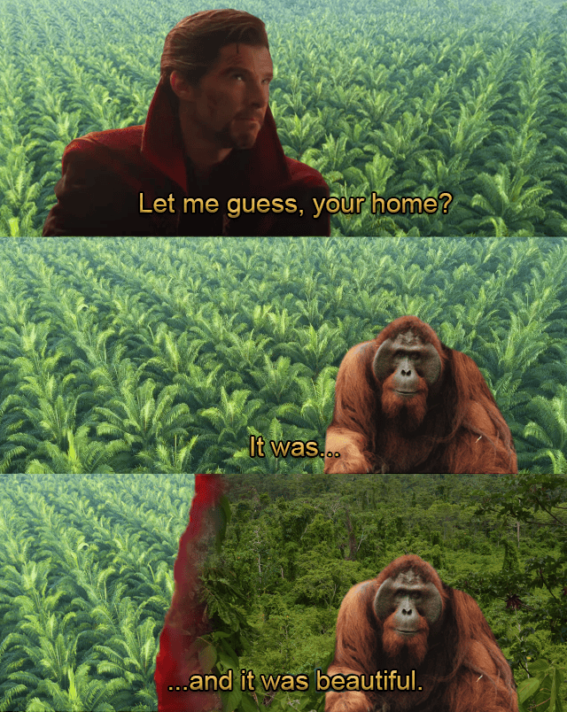 Deforestation Bad dankmemes