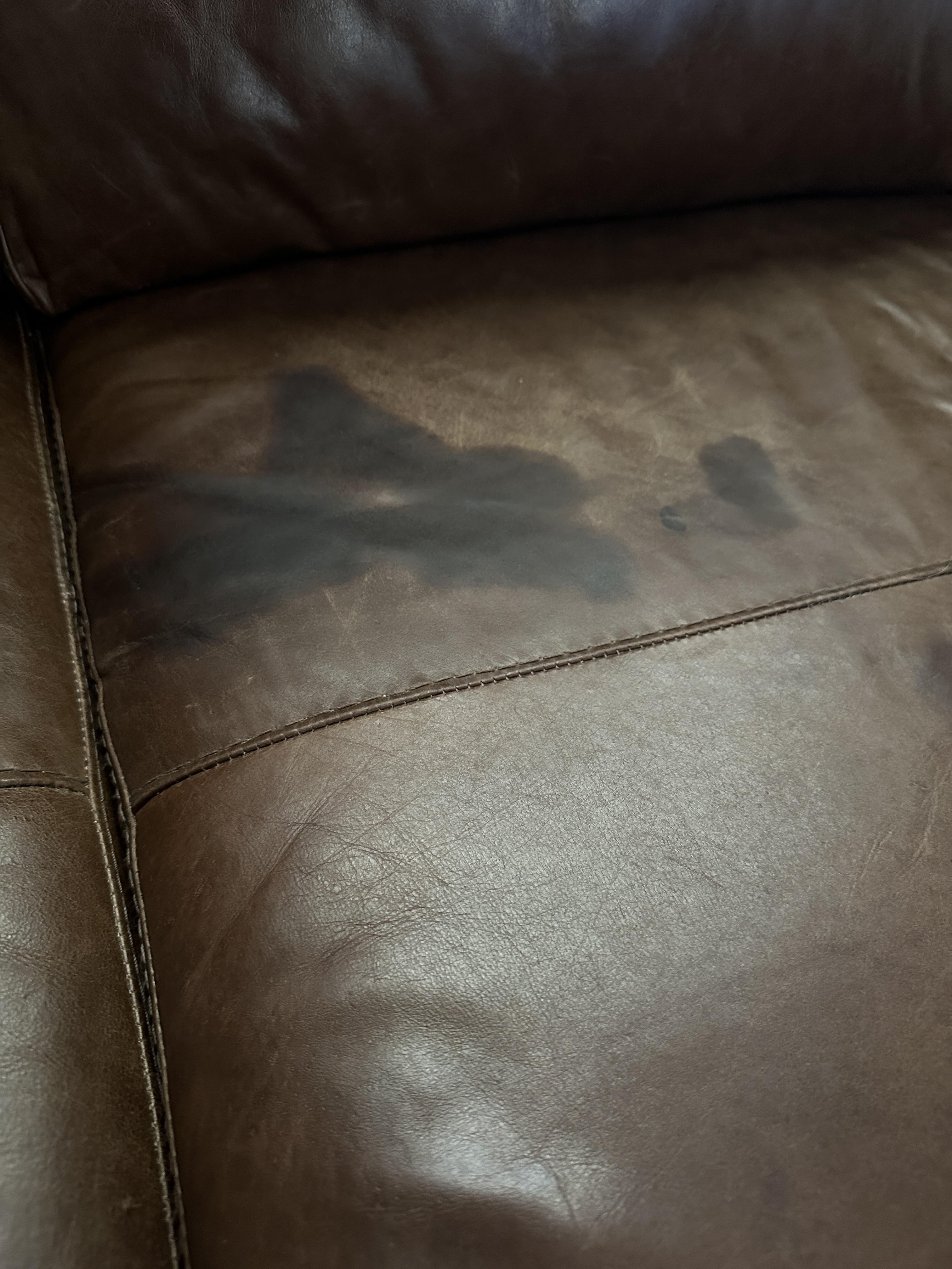 Olive Oil on Leather Couch r/CleaningTips