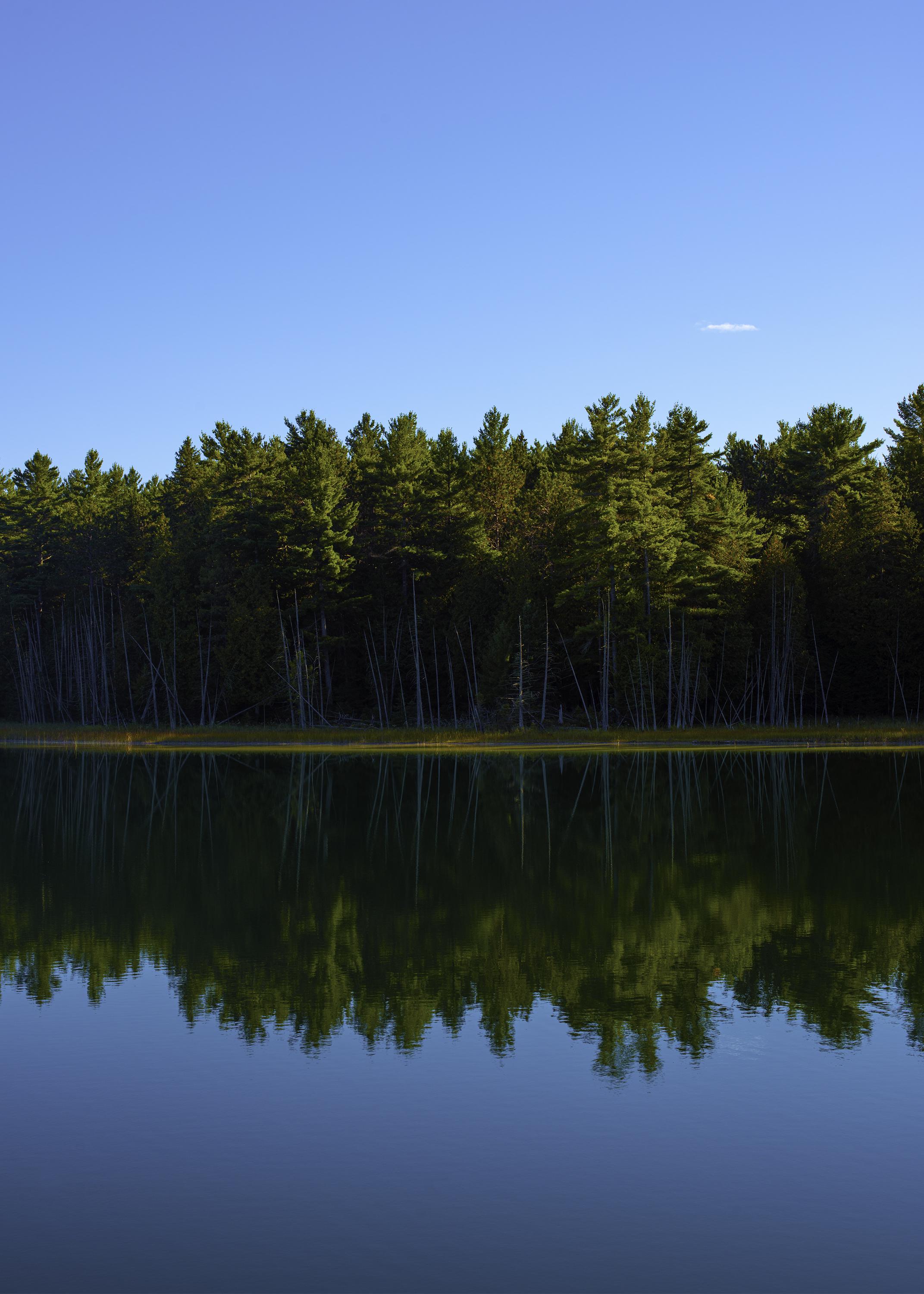 A little cloud floating over McGinnis Lake in Petroglyph Provincial