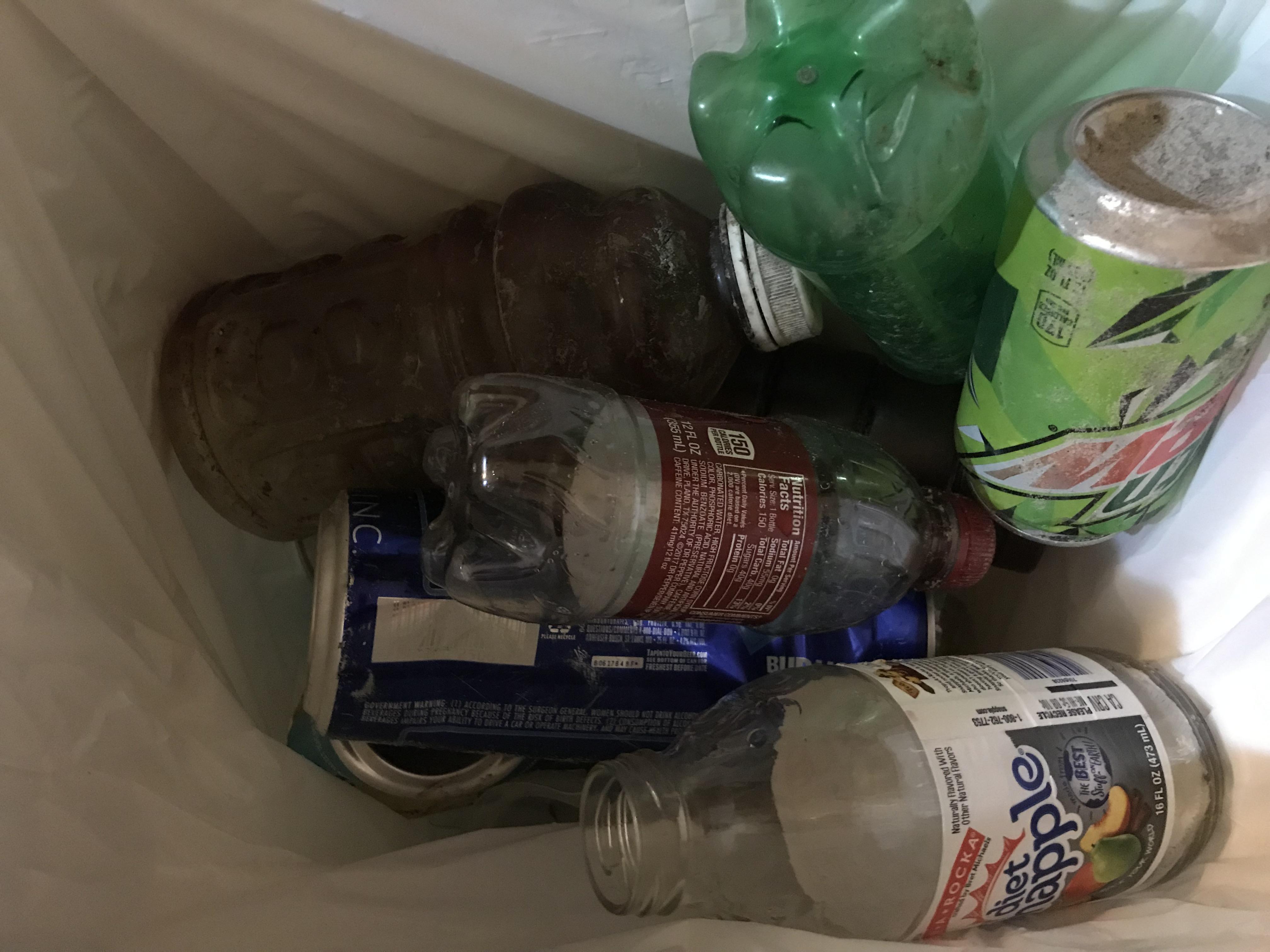 I’ve started carrying around a bag when I walk my dogs through the