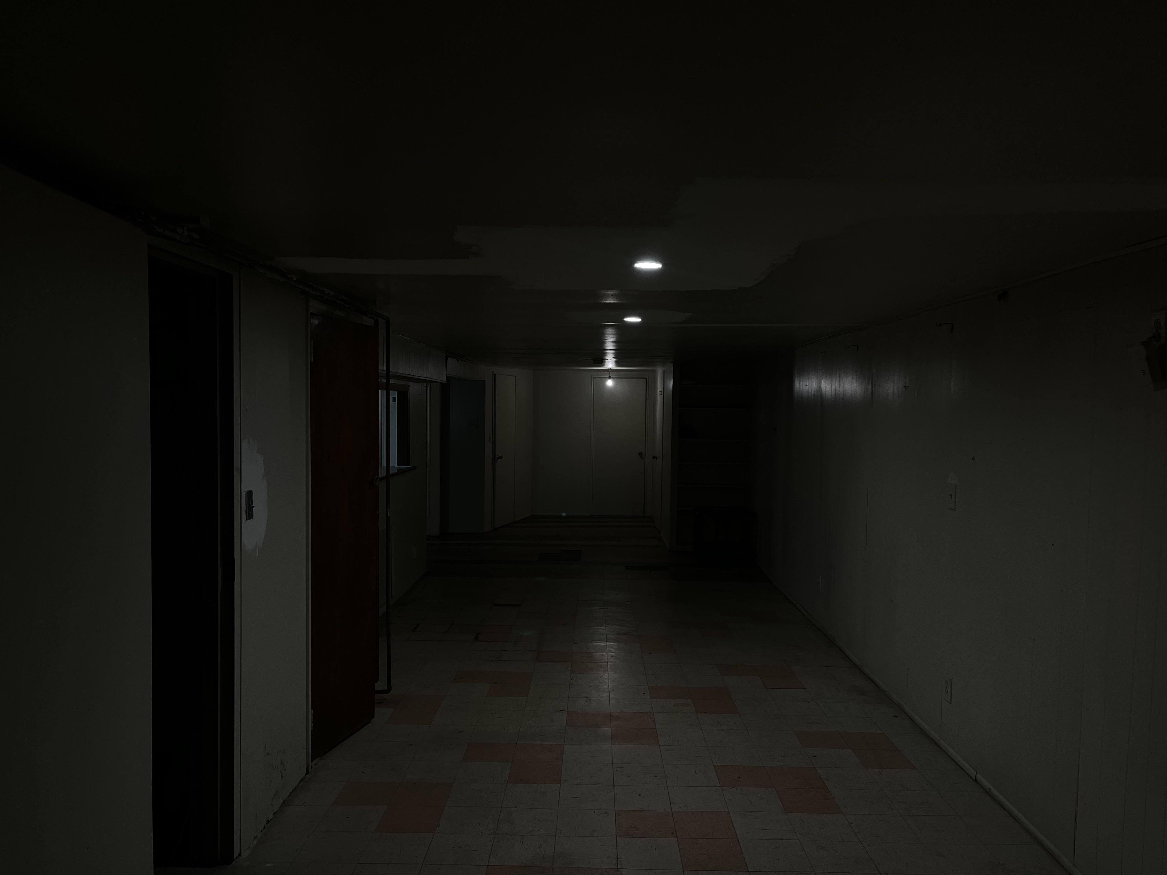 My apartment has a backroom basement r/backrooms