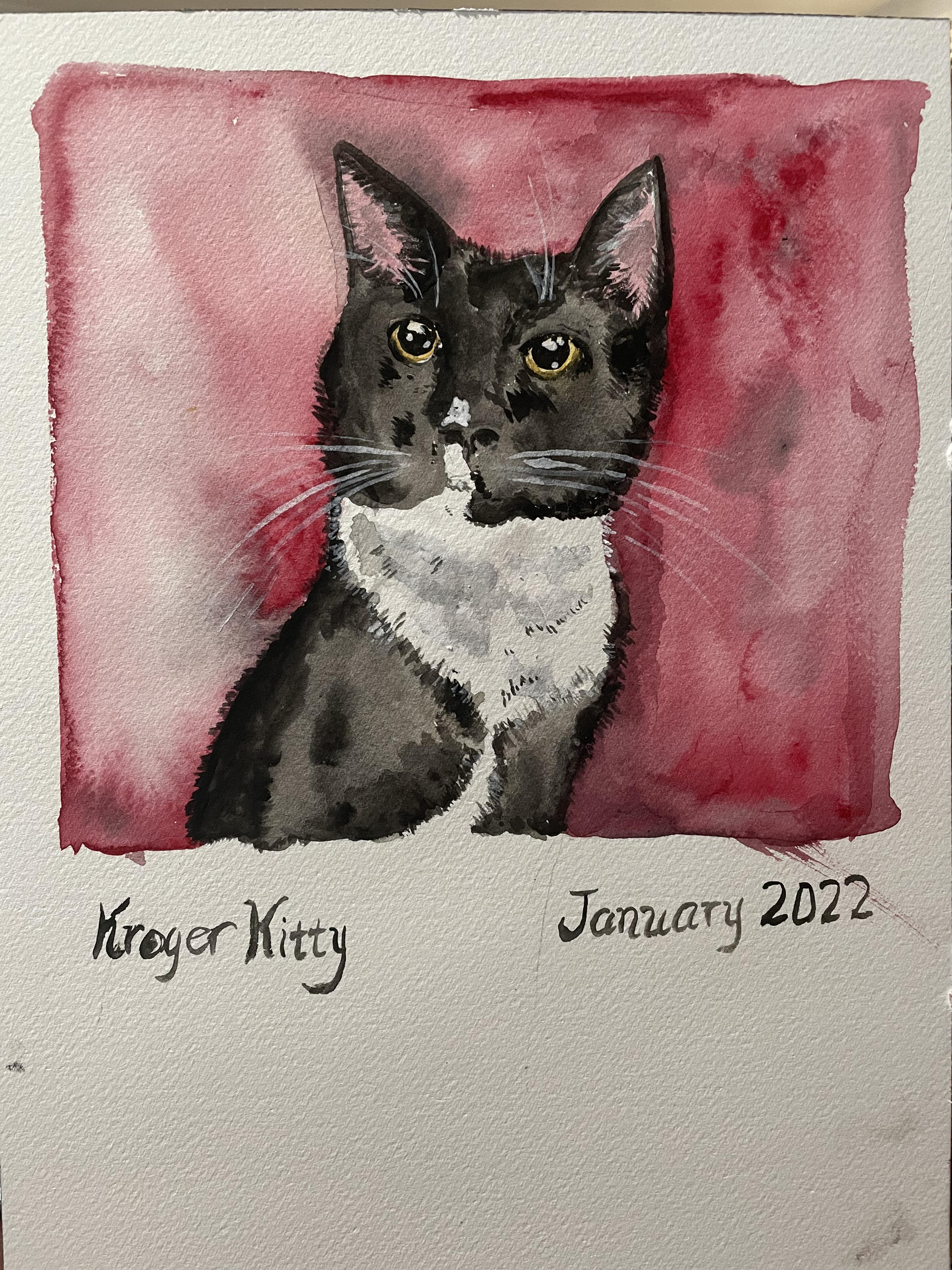 Kroger Kitty this little guy was feral and living in our grocery store