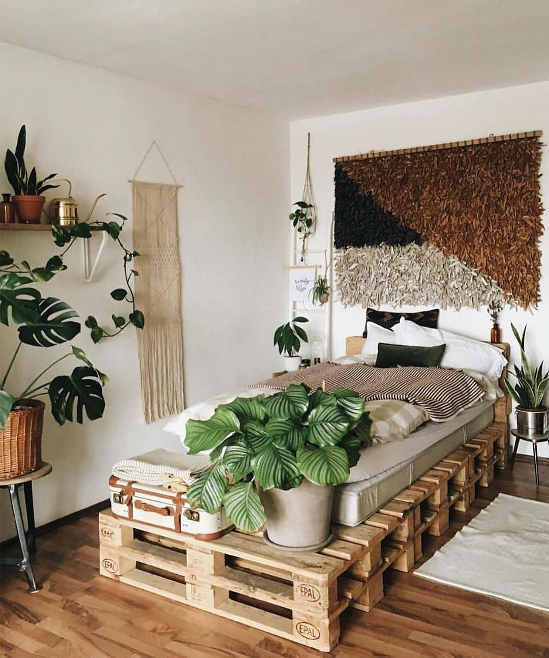 Do you also have plants in your living room? r/houseplants