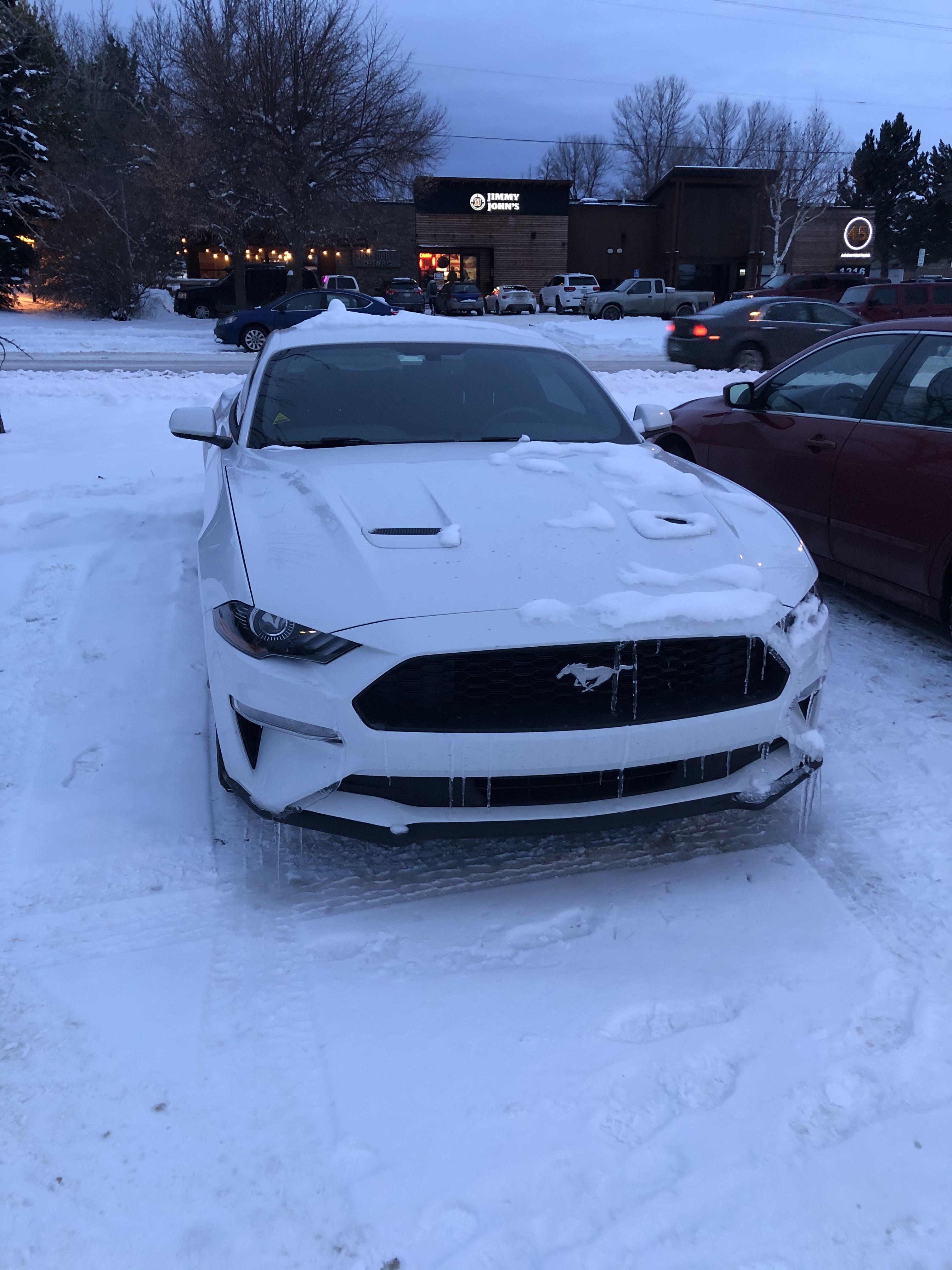 My Snow Pony (Bozeman, MT) ecoboostmustang