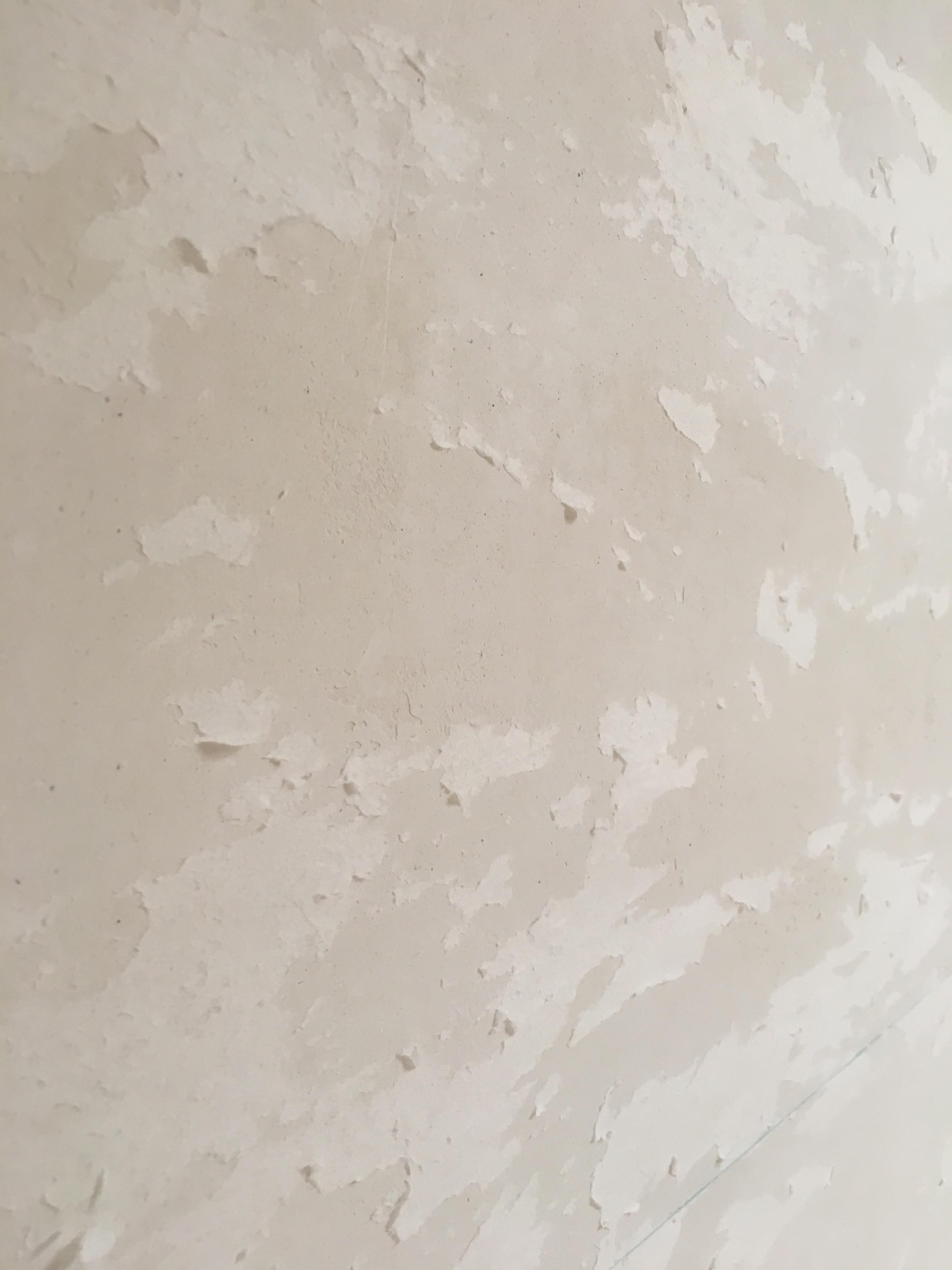 There is this wall in my house where wallpaper used to be. The
