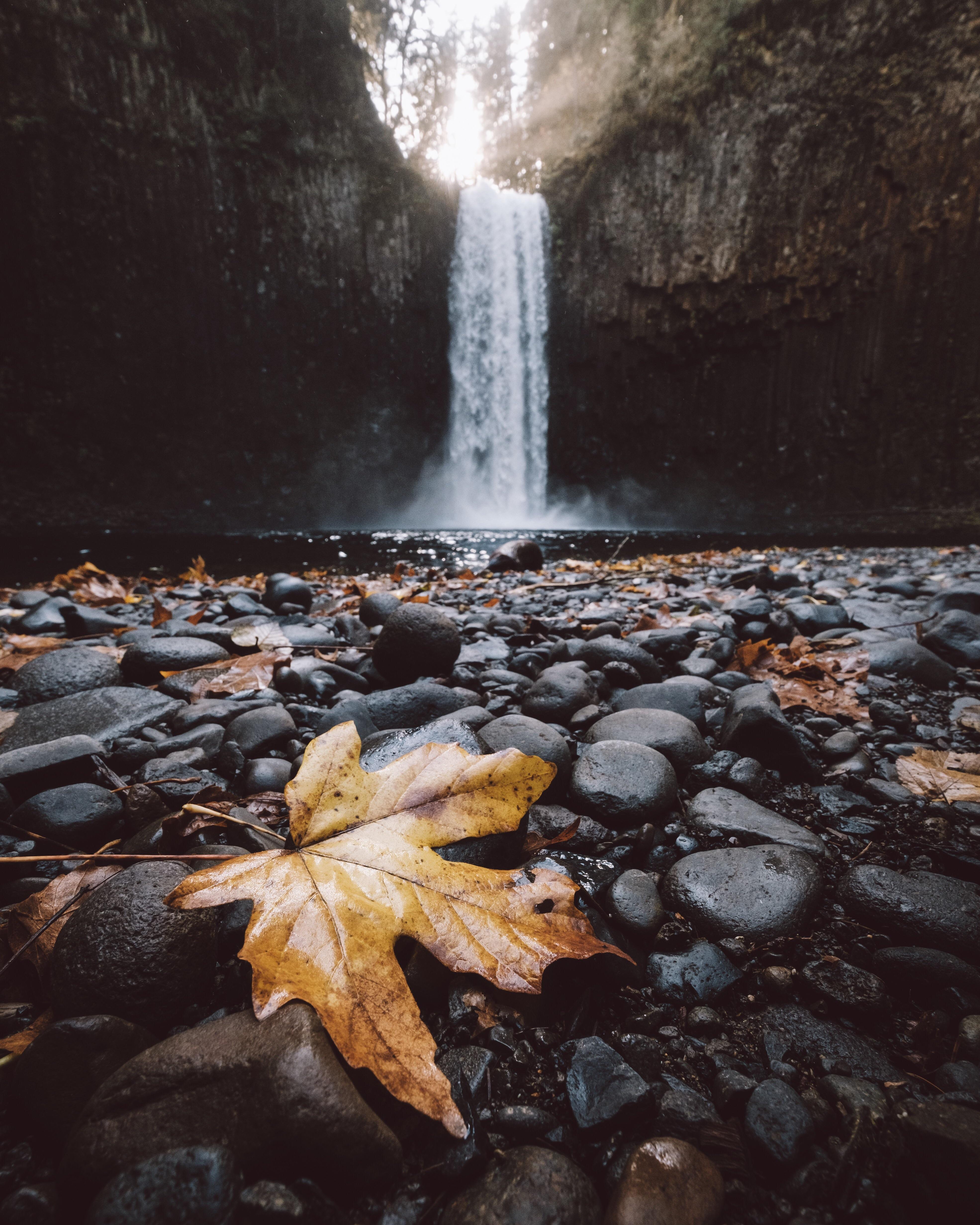 Autumn in Oregon [OC] [3942x4926] r/EarthPorn